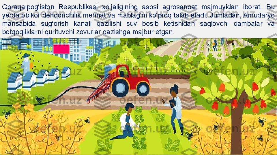 Qoraqalpog‘iston  Respublikasi   xo‘jaligining  asosi  agrosanoat  majmuyidan  iborat.  Bu 
yerda obikor dehqonchilik mehnat va mablag‘ni ko‘proq talab etadi. Jumladan, Amudaryo 
mansabida  sug‘orish  kanali  qazilishi  suv  bosib  ketishidan  saqlovchi  dambalar  va 
botqoqliklarni qurituvchi zovurlar qazishga majbur etgan.    