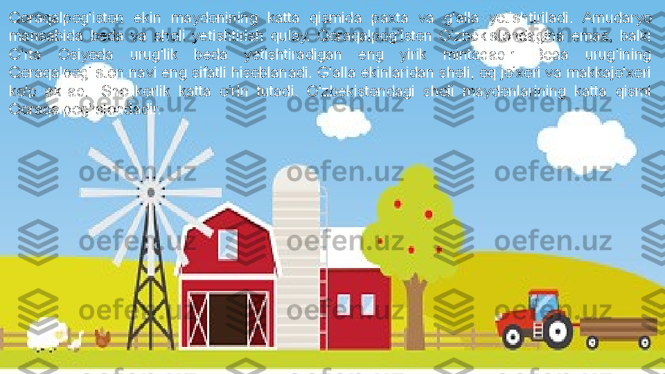 Qoraqalpog‘iston  ekin  maydonining  katta  qismida  paxta  va  g‘alla  yetishtiriladi .  Amudaryo 
mansabida  beda  va  sholi  yetishtirish  qulay.  Qoraqalpog‘iston  O‘zbekistondagina  emas,  balki 
O‘rta  Osiyoda  urug‘lik  beda  yetishtiradigan  eng  yirik  mintaqadir.  Beda  urug‘ining 
Qoraqalpog‘iston navi eng sifatli hisoblanadi. G‘alla ekinlaridan sholi, oq jo‘xori va makkajo‘xori 
ko‘p  ekiladi.  Sholikorlik  katta  o‘rin  tutadi.  O‘zbekistondagi  sholi  maydonlarining  katta  qismi 
Qoraqalpog‘istondadir.  