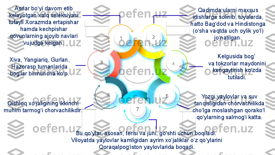 1 2
43
5
7 6Asrlar bo‘yi  davom etib 
kelayotgan xalq seleksiyasi 
tufayli Xorazmda ertapishar 
hamda kechpishar 
qovunlarning ajoyib navlari 
vujudga kelgan. Qadimda ularni  maxsus 
idishlarga solinib, tuyalarda, 
hatto Bag‘dod va Hindistonga 
(o‘sha vaqtda uch oylik yo‘l) 
jo‘natilgan.
Xiva, Yangiariq, Gurlan, 
Hazorasp tumanlarida 
bog‘lar birmuncha ko‘p. Kelgusida bog‘ 
va tokzorlar maydonini  
kengaytirish ko‘zda 
tutiladi.
Bu qo‘ylar, asosan, terisi  va juni, go‘shti uchun boqiladi. 
Viloyatda yaylovlar kamligidan ayrim xo‘jaliklar o‘z qo‘ylarini 
Qoraqalpog‘iston yaylovlarida boqadi.Qishloq xo‘jaligining ikkinchi  
muhim tarmog‘i chorvachilikdir.  Yozgi  yaylovlar va suv 
tanqisligidan chorvachilikda 
cho‘lga moslashgan qorako‘l 
qo‘ylarning salmog‘i katta.                 