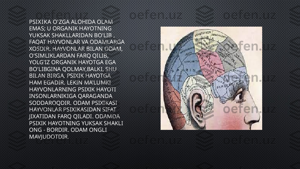 PSIX IKA  O'ZGA ALOHIDA OLAM 
EMAS; U ORGANIK HAYOTNING 
YUKSAK SHAKLLARIDAN BO'LIB , 
FAQAT HAYVONLAR VA ODAMLARGA 
XOSDIR. HAYVONLAR BILAN ODAM, 
O'SIMLIKLARDAN FARQ QILIB, 
YOLG'IZ ORGANIK HAYOTGA EGA 
BO'LIBGINA QOLMAY,BALKI, SHU 
BILAN BIRGA, PSIXIK HAYOTGA 
HAM EGADIR. LEKIN MA'LUMKI 
HAYVONLARNING PSIXIK HAYOTI 
INSONLARNIKIGA QARAGANDA 
SODDAROQDIR. ODAM PSIXIKASI 
HAYVONLAR PSIXIKASIDAN SIFAT 
JIXATIDAN FARQ QILADI.  ODAMDA 
PSIXIK HAYOTNING YUKSAK SHAKLI 
ONG - BORDIR. ODAM ONGLI 
MAVJUDOTDIR. 