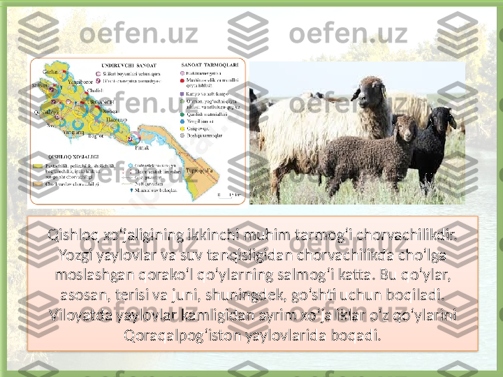 Qishloq xo‘jaligining ikkinchi muhim tarmog‘i chorvachilikdir. 
Yozgi yaylovlar va suv tanqisligidan chorvachilikda cho‘lga 
moslashgan qorako‘l qo‘ylarning salmog‘i katta. Bu qo‘ylar, 
asosan, terisi va juni, shuningdek, go‘shti uchun boqiladi. 
Viloyatda yaylovlar kamligidan ayrim xo‘jaliklar o‘z qo‘ylarini 
Qoraqalpog‘iston yaylovlarida boqadi.   