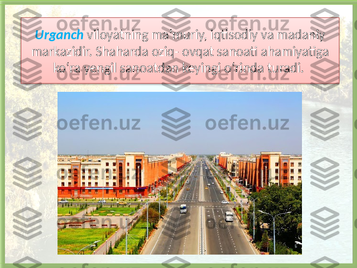 Urganch   viloyatning ma’muriy, iqtisodiy va madaniy 
markazidir. Shaharda oziq- ovqat sanoati ahamiyatiga 
ko‘ra yengil sanoatdan keyingi o‘rinda turadi.    