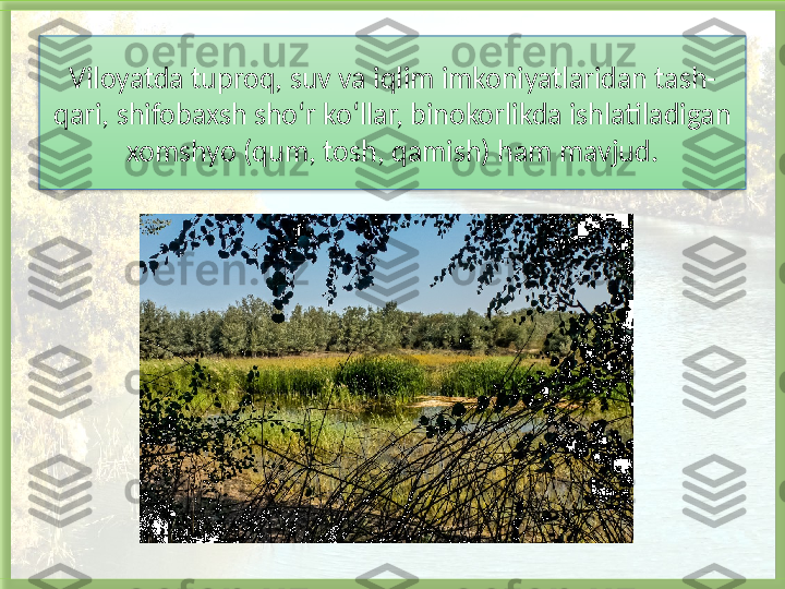 Viloyatda tuproq, suv   va iqlim imkoniyatlaridan   tash -
qari, shifobaxsh sho‘r ko‘llar, binokorlikda ishlatiladigan 
xomshyo (qum, tosh, qamish) ham mavjud .   