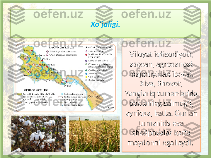 Xo‘jaligi.
Viloyat iqtisodiyoti, 
asosan, agrosanoat 
majmuyidan iborat. 
Xiva, Shovot, 
Yangiariq tumanlarida 
paxtaning salmog‘i, 
ayniqsa, katta. Gurlan 
tumanida esa 
sholipoyalar katta 
maydonni egallaydi.     