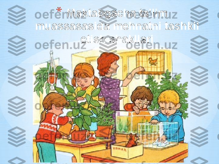 * Maktabgacha ta’lim 
muassasasida mehnatni tashkil 
etish shakllari 