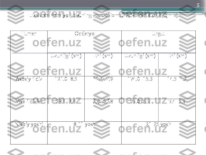 5
Tuksiz  shirinmiya ildizining morfobiometrik ko'rsatkichlari(n=5).  
  Tuman   Oqdaryo   Urgut  
Uzunligi (sm)   Eni (sm)   Uzunligi (sm)   Eni (sm)  
Asosiy ildiz   121.0±8.5   11.4±1.9   174.0±15.3   14.5±1.2  
Yon ildizlar   28.1±2.4   2.0±0.18   75.0±6.2   7.4±5.3  
Nisbiy yoshi   8 - 11 yosh   21 - 25 yosh                       