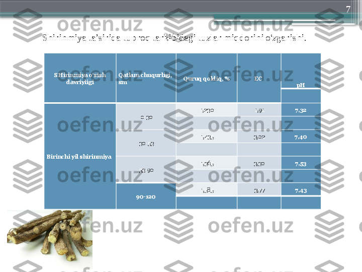 7
SHirinmiya o‘sish 
davriyligi Qatlam chuqurligi , 
sm Quruq qoldiq , % EC   
pH
 
Birinchi yil shirinmiya 0-30 1,230 1,91 7,32
     
30-53 1,435 3,02 7,40
     
53-90 1,365 3,30 7,53
     
90-120 1,585 3,77 7,43
     Shirinmiya ta’sirida tuproq tarkibidagi tuzlar miqdorini o‘zgarishi .                     