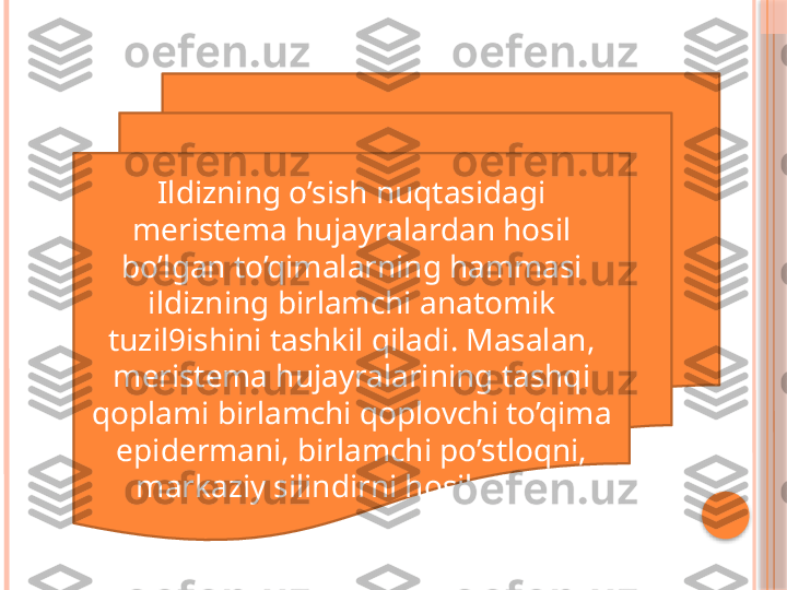 Ildizning o’sish nuqtasidagi 
meristema hujayralardan hosil 
bo’lgan to’qimalarning hammasi 
ildizning birlamchi anatomik 
tuzil9ishini tashkil qiladi. Masalan, 
meristema hujayralarining tashqi 
qoplami birlamchi qoplovchi to’qima 
epidermani, birlamchi po’stloqni, 
markaziy silindirni hosil qiladi.     