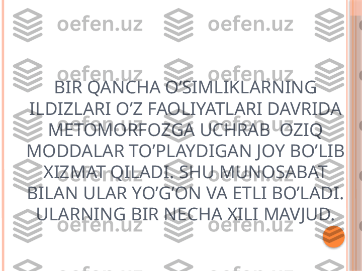 BIR QANCHA O’SIMLIKLARNING 
ILDIZLARI O’Z FAOLIYATLARI DAVRIDA 
METOMORFOZGA UCHRAB  OZIQ 
MODDALAR TO’PLAYDIGAN JOY BO’LIB 
XIZMAT QILADI. SHU MUNOSABAT 
BILAN ULAR YO’G’ON VA ETLI BO’LADI. 
ULARNING BIR NECHA XILI MAVJUD.     