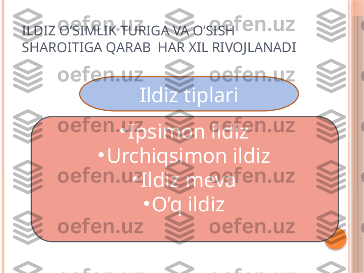 ILDIZ O’SIMLIK TURIGA VA O’SISH 
SHAROITIGA QARAB  HAR XIL RIVOJLANADI
Ildiz tiplari
 
•
Ipsimon ildiz
•
Urchiqsimon ildiz
•
Ildiz meva
•
O’q ildiz
  Popuk ildiz     