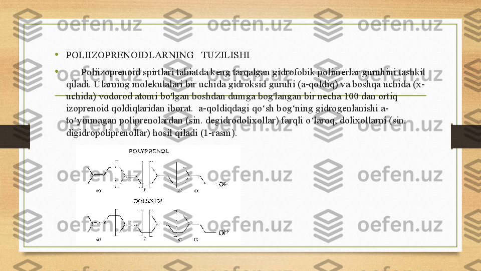 • POLIIZOPRENOIDLARNING   TUZILISHI
•
       Poliizoprenoid spirtlari tabiatda keng tarqalgan gidrofobik polimerlar guruhini tashkil 
qiladi. Ularning molekulalari bir uchida gidroksid guruhi (a-qoldiq) va boshqa uchida (x-
uchida) vodorod atomi bo'lgan boshdan dumga bog'langan bir necha 100 dan ortiq 
izoprenoid qoldiqlaridan iborat.  a-qoldiqdagi qo sh bog ning gidrogenlanishi a-ʻ ʻ
to yinmagan poliprenolardan (sin. degidrodolixollar) farqli o laroq, dolixollarni (sin. 	
ʻ ʻ
digidropoliprenollar) hosil qiladi (1-rasm). 