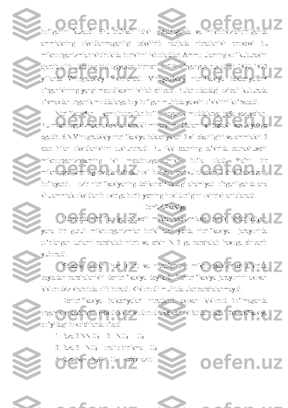 bo’lganini   kuzatdi.   Shu   trubkali   idish   qizdirilganda   va   mikrobsizlantirilganda
ammiakning   oksidlanmaganligi   tekshirib   natijada   nitratlanish   prosessi   bu
mikroorganizmlar ishtirokida borishini isbotladilar. Ammo ularning sof kulturasini
ajartib   olib   ularning   biologiyasini   birinchi   bo’lib   o’rgangan   rus   olimi   1890-1892
yillarda   Vinogradskiy   hisoblanadi.   Vinogradskiy   nitrifikasiya   bakteriyalarni
o’rganishning yangi metodikasini  ishlab chiqadi. Bular odatdagi oziqali kulturada
o’smasdan organik moddalarga boy bo’lgan muhitda yaxshi o’sishini ko’rsatadi.
Nitrifikatorlar   –   xemolitotroflar   bo’lib   organik   moddalarga   juda   sezuvchan.
Bu mikroorganizmlar ana shu   kerakli mineral moddalarni sintezlash xususiyatiga
egadir. S.N.Vinogradskiy nitrifikasiya bakteriyalari 2 xil ekanligini va ammiakni 2
etap   bilan   oksidlanishini   tushuntiradi.   Bu   ikki   etapning   ta’sirida   qatnashuvchi
mikroorganizmlarning   ish   metabiozga   misol   bo’la   oladi.   Ya’ni   bir
mikroorganizmning rivojlanishida hosil  bo’lgan mahsulotlardan 2-chisi  baxramon
bo’layapti.   Hozir   nitrifikasiyaning   dehkonchilikdagi   ahamiyati   o’rganilganda   ana
shu ammiak oksidlanib oxiriga borib yerning hosildorligini oshirish aniqlanadi.
Denitrifikasiya
Tuproqda   nitrifikasiya   qiluvchi   makroorganizmlarga   qarshi   ishlatiladigan
yana   bir   guruh   mikroorganizmlar   borki   ular   yerda   nitrifikasiya     jarayonida
to’plangan   turlarni   parchalab   nitrit   va   erkin   N   2   ga   parchalab   havoga   chiqarib
yuboradi.
Shuning   uchun   ham   nitrit   va   nitratlarning   mikroorganizmlar   ta’sirida
qaytadan   parchalanishi   denitrifikasiya   deyiladi.   Denitrifikasiya   jarayonini   asosan
kislorodsiz sharoitda olib boradi. Kislorodli muhitda ular parchalanmaydi. 
Denitrifikasiya   bakteriyalari   nitratlarni   asosan   kislorod   bo’lmaganda
organik   moddalarni   oksidlashda   vodorod   oksidlari   sifatida   oladi.   Denitrifikasiya
qo’yidagi bosqichlarda o’tadi
1. faza 2  N N O
3  -  2 HNO
2   + O
2
2. faza 2 HNO
2  – oraliq birikma + O
2  
3. faza N
2   + N
2 O + O
2   – erkin azot 