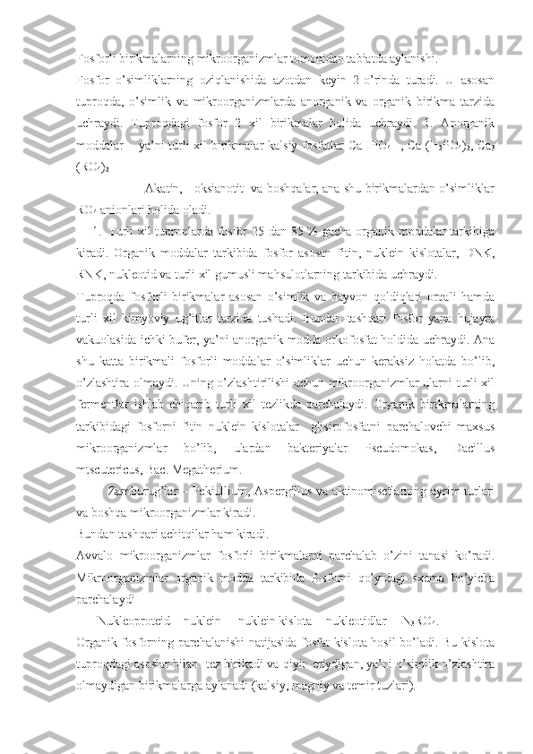 Fosforli birikmalarning mikroorganizmlar tomonidan tabiatda aylanishi.
Fosfor   o’simliklarning   oziqlanishida   azotdan   keyin   2-o’rinda   turadi.   U   asosan
tuproqda,   o’simlik   va   mikroorganizmlarda   anorganik   va   organik   birikma   tarzida
uchraydi.   Tuproqdagi   fosfor   2   xil   birikmalar   holida   uchraydi.   1.   Anorganik
moddalar – ya’ni  turli  xil  birikmalar  kalsiy fosfatlar CaHPO
4    , Ca (H
2 PO
4 )
2 , Ca
3
(RO
4 )
2
                                   Akatin,     oksianotit   va boshqalar, ana shu birikmalardan o’simliklar
RO
4  anionlari holida oladi.
1. Turli xil tuproqlarda fosfor  25 dan 85 % gacha organik moddalar tarkibiga
kiradi.   Organik   moddalar   tarkibida   fosfor   asosan   fitin,   nuklein   kislotalar,   DNK,
RNK, nukleotid va turli xil gumusli mahsulotlarning tarkibida uchraydi.
Tuproqda   fosforli   birikmalar   asosan   o’simlik   va   hayvon   qoldiqlari   orqali   hamda
turli   xil   kimyoviy   ug’itlar   tarzida   tushadi.   Bundan   tashqari   fosfor   yana   hujayra
vakuolasida ichki bufer, ya’ni anorganik modda orkofosfat holdida uchraydi. Ana
shu   katta   birikmali   fosforli   moddalar   o’simliklar   uchun   keraksiz   holatda   bo’lib,
o’zlashtira olmaydi. Uning o’zlashtirilishi uchun mikroorganizmlar ularni turli xil
fermentlar   ishlab   chiqarib   turli   xil   tezlikda   parchalaydi.   Organik   birikmalarning
tarkibidagi   fosforni   fitin   nuklein   kislotalar     glisirofosfatni   parchalovchi   maxsus
mikroorganizmlar   bo’lib,   ulardan   bakteriyalar   Pscudomokas,   Dacillus
mtscutericus, Bac. Megatherium.
Zamburug’lar – Pekiullium, Aspergillus va aktinomisetlarning ayrim turlari
va boshqa mikroorganizmlar kiradi.
Bundan tashqari achitqilar ham kiradi.
Avvalo   mikroorganizmlar   fosforli   birikmalarni   parchalab   o’zini   tanasi   ko’radi.
Mikroorganizmlar   organik   modda   tarkibida   fosforni   qo’yidagi   sxema   bo’yicha
parchalaydi
            Nukleoproteid  - nuklein  -  nuklein kislota -  nukleotidlar –  N
3 RO
4 .
Organik fosforning parchalanishi  natijasida fosfat kislota hosil bo’ladi. Bu kislota
tuproqdagi asoslar bilan   tez birikadi va qiyin eriydigan, ya’ni o’simlik o’zlashtira
olmaydigan birikmalarga aylanadi (kalsiy, magniy va temir tuzlari). 