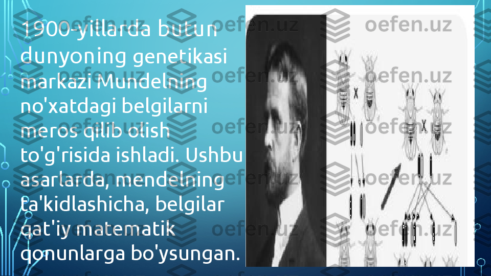 1900-yillarda butun 
dunyoning  genetikasi 
markazi Mundelning 
no'xatdagi belgilarni 
meros qilib olish 
to'g'risida ishladi. Ushbu 
asarlarda, mendelning 
ta'kidlashicha, belgilar 
qat'iy matematik 
qonunlarga bo'ysungan.  