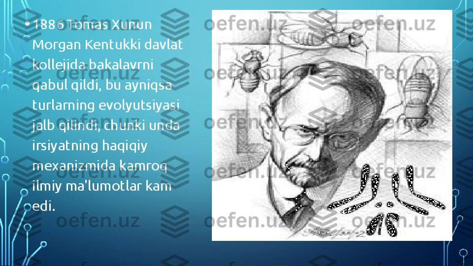 • 1886 Tomas Xunun 
Morgan Kentukki davlat 
kollejida bakalavrni 
qabul qildi, bu ayniqsa 
turlarning evolyutsiyasi 
jalb qilindi, chunki unda 
irsiyatning haqiqiy 
mexanizmida kamroq 
ilmiy ma'lumotlar kam 
edi.  