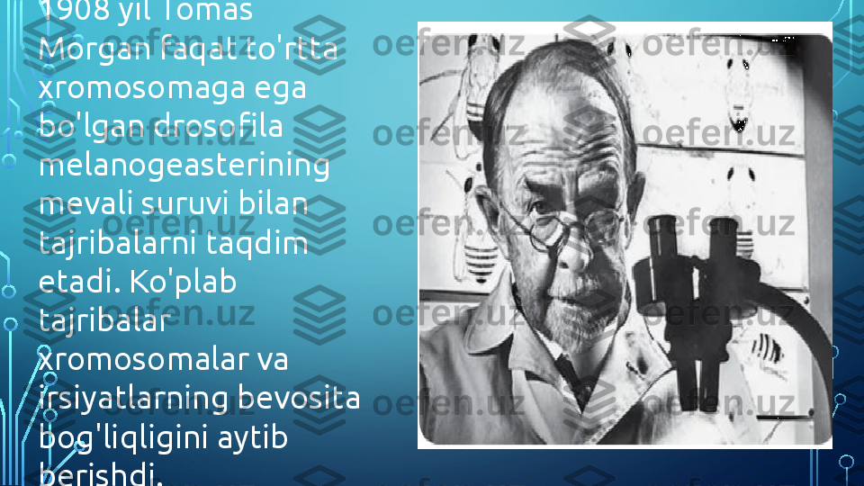 1908 yil Tomas 
Morgan faqat to'rtta 
xromosomaga ega 
bo'lgan drosofila 
melanogeasterining 
mevali suruvi bilan 
tajribalarni taqdim 
etadi. Ko'plab 
tajribalar 
xromosomalar va 
irsiyatlarning bevosita 
bog'liqligini aytib 
berishdi.  