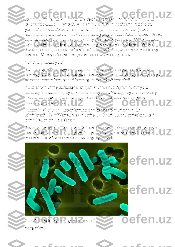 tashqi muhitning har xil omillari ta siriga juda chidamli. M. tabiatda moddalar ʼ
aylanishida katta rol o ynaydi. M. o simlik va hayvon qoldiqlarini parchalab, 	
ʻ ʻ
yashil o simliklar o zlashtirishi mumkin bo lgan mineral birikmalar (mas., 	
ʻ ʻ ʻ
karbonat angidrid gazi, ammiak va boshqalar)ga aylantiradi. Azot to plovchi M. va	
ʻ
tuganak bakteriyalari molekulyar azotni yig ish xususiyatiga ega. 	
ʻ M. fosfor, azot, 
uglerod, oltingugurt, temir va boshqalarning tabiatda aylanishida ishtirok etadi. 
Bundan tashqari, tuproqda ko payib, so ng nobud bo lib, uni organik moddalarga 	
ʻ ʻ ʻ
boyitadi. M. hayot faoliyati natijasida tuproq unumdorligi ortadi
Tabiatdagi bakteriyalar
Bu tirik organizmlar sayyoramizda birinchilardan bo'lib paydo bo'lgan. Ular 
hamma joyda tarqatiladi. Bakteriyalar suv havzalarining tubida, tuproqda yashaydi 
va past haroratga ham, yuqori haroratga ham bardosh bera oladi.
Bu organizmlarning tabiatdagi ahamiyati shubhasizdir. Aynan bakteriyalar 
tabiatdagi moddalarning aylanishini ta'minlaydi, bu Yerdagi hayot uchun asosiy 
hisoblanadi. Ularning ta'sirida organik birikmalar o'zgaradi va noorganik 
moddalarga parchalanadi.
Tuproq hosil qiluvchi jarayonlar tuproq mikroorganizmlari tomonidan 
ta'minlanadi. O'simliklar va hayvonlarning qoldiqlari faqat bakteriyalar tufayli 
chirindi va chirindiga aylanadi.
Suv muhitida bu qirollikning vakillari suv omborlarini, shuningdek, oqava suvlarni
tozalash uchun ishlatiladi. Hayotiy faoliyati tufayli bakteriyalar xavfli organik 
moddalarni xavfsiz noorganik moddalarga aylantiradi.
Guruch. 1. Bakteriyalarning tabiatdagi roli.
patogenlar 