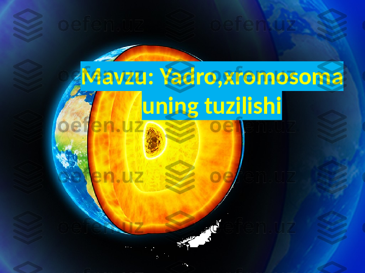 Mavzu:  Yadro ,xromosoma 
uning tuzilishi 