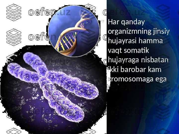 •
Har qanday 
organizmning jinsiy 
hujayrasi hamma 
vaqt somatik 
hujayraga nisbatan 
ikki barobar kam 
xromosomaga ega 