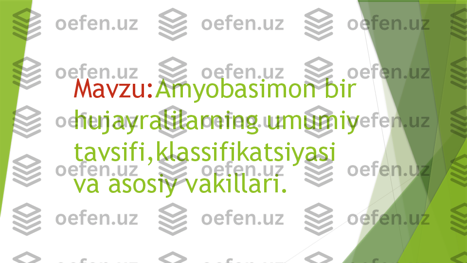 Mavzu: Amyobasimon bir 
hujayralilarning umumiy 
tavsifi,klassifikatsiyasi 
va asosiy vakillari.                  