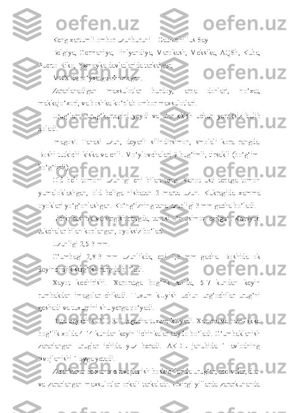 Keng xartumli ombor uzunburuni –  Caulophillus   Say
Belgiya,  Germaniya,  Finlyandiya,  Marokash,  Meksika,  A Q Sh,  Kuba,
Puerto-Riko, Yamayka davlatlarida tarkalgan.
MDX da r o‘ yxatga olinmagan.
Zararlanadigan   maxsulotlar   burdoy,   arpa   donlari,   n o‘ xat,
makkaj o‘ xori, va boshka k o‘ plab ombor maxsulotlari.
Uru g‘ larni   uru g‘ kurtagini   yeydi   va   ular   ekish   uchun   yaroksiz   bulib
koladi.
Imagosi.   Tanasi   uzun,   deyarli   silind i rsimon,   smolali   kora   rangda.
Boshi tutkichi kiska va enli. M o‘ ylovchalari 9 bu g‘ imli, tirsakli (b o‘g‘ im-
b o‘g‘ imli).
Old   beli   tomoni   uzunligi   eni   bilan   teng.   Kanot   usti   tepaga   tomon
yumaloklashgan,   old   beliga   nisbatan   2   marta   uzun.   Kukragida   x a mma
oyoklari y o‘g‘ onlashgan. K o‘ n g‘ izning tana uzunli gi 3 mm gacha b o‘ ladi.
Lichinkasi ok va sargish rangda, tanasi   o‘ ro q simon egilgan. Kamyob
tukchalar bilan koplangan, oyoksiz b o‘ ladi.
Uzunligi 2,5-3 mm.
G‘ umbagi   2,8-3   mm   uzunlikda,   eni   1,3   mm   gacha.   Boshida   ok
keyinchalik sar g‘ ish rangda b o‘ ladi.
Xayot   kechirishi.   Xaroratga   bo g‘ lik   x o lda,   5-7   kundan   keyin
rumbakdan   imagolar   chikadi.   Tuxum   kUyish   uchun   ur g‘ ochilar   uru g‘ ni
geshadi va tuxumini shu yerga  qo‘ yadi.
Bitta urgochisi 200-300 tagacha tuxum kUyadi. Xarorat va nam-likka
bo g‘ lik xolda 4-14 kundan keyin lichinkalar paydo b o‘ ladi.  G‘ umbaklanish
zararlangan   uruglar   ichida   yuz   beradi.   AKDL   janubida   1   avlodning
rivojlanishi 1 oyga yetadi.
Zararkunanda xamma rivojlanish boskichlarida uru g‘ ar, me-valar, don
va   zararlangan   maxsulotlar   orkali   tarkaladi.   Oxirgi   yillarda   zararkunanda 