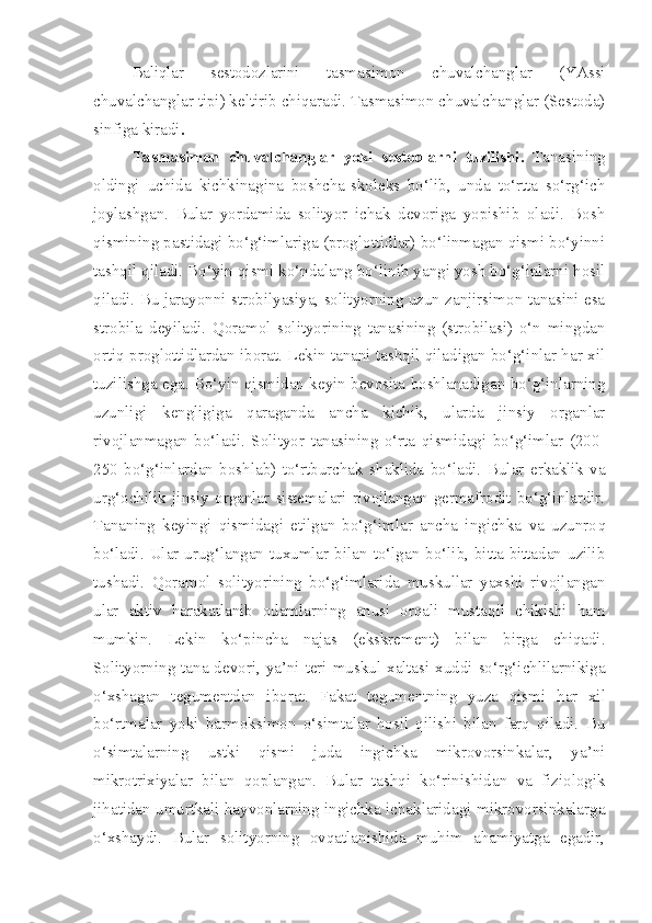 Baliqlar   sestodozlarini   t asmasimon   chuvalchanglar   (YAssi
chuvalchanglar tipi) keltirib chiqaradi. Tasmasimon chuvalchanglar (Sestoda)
sinfiga kiradi . 
Tasmasimon   chuvalchanglar   yoki   sestodlarni   tuzilishi .   Tanasining
oldingi   uchida   kichkinagina   boshcha-skoleks   bo‘lib,   unda   to‘rtta   so‘rg‘ich
joylashgan.   Bular   yordamida   solityor   ichak   devoriga   yopishib   oladi.   Bosh
qismining pastidagi bo‘g‘imlariga (proglottidlar) bo‘linmagan qismi bo‘yinni
tashqil qiladi. Bo‘yin qismi ko‘ndalang bo‘linib yangi yosh bo‘g‘inlarni hosil
qiladi. Bu jarayonni strobilyasiya, solityorning uzun zanjirsimon tanasini esa
strobila   deyiladi.   Qoramol   solityorining   tanasining   (strobilasi)   o‘n   mingdan
ortiq proglottidlardan iborat. Lekin tanani tashqil qiladigan bo‘g‘inlar har xil
tuzilishga ega. Bo‘yin qismidan keyin bevosita boshlanadigan bo‘g‘inlarning
uzunligi   kengligiga   qaraganda   ancha   kichik,   ularda   jinsiy   organlar
rivojlanmagan   bo‘ladi.   Solityor   tanasining   o‘rta   qismidagi   bo‘g‘imlar   (200-
250   bo‘g‘inlardan   boshlab)   to‘rtburchak   shaklida   bo‘ladi.   Bular   erkaklik   va
urg‘ochilik   jinsiy   organlar   sistemalari   rivojlangan   germafrodit   bo‘g‘inlardir.
Tananing   keyingi   qismidagi   etilgan   bo‘g‘imlar   ancha   ingichka   va   uzunro q
bo‘ladi.  Ular  urug‘langan  tuxumlar  bilan to‘lgan  bo‘lib,  bitta-bittadan  uzilib
tushadi.   Qoramol   solityorining   bo‘g‘imlarida   muskullar   yaxshi   rivojlangan
ular   aktiv   h arakatlanib   odamlarning   anusi   orqali   mustaqil   chikishi   ham
mumkin.   Lekin   ko‘pincha   najas   (ekskrement)   bilan   birga   chiqadi.
Solityorning tana devori, ya’ni teri muskul xaltasi xuddi so‘rg‘ichlilarnikiga
o‘xshagan   tegumentdan   iborat.   Fakat   tegumentning   yuza   qismi   h ar   xil
bo‘rtmalar   yoki   barmoksimon   o‘simtalar   hosil   qilishi   bilan   farq   qiladi.   Bu
o‘simtalarning   ustki   qismi   juda   ingichka   mikrovorsinkalar,   ya’ni
mikrotrixiyalar   bilan   qoplangan.   Bular   tashqi   ko‘rinishidan   va   fiziologik
jihatidan umurtkali hayvonlarning ingichka ichaklaridagi mikrovorsinkalarga
o‘xshaydi.   Bular   solityorning   ovqatlanishida   muhim   ahamiyatga   egadir, 