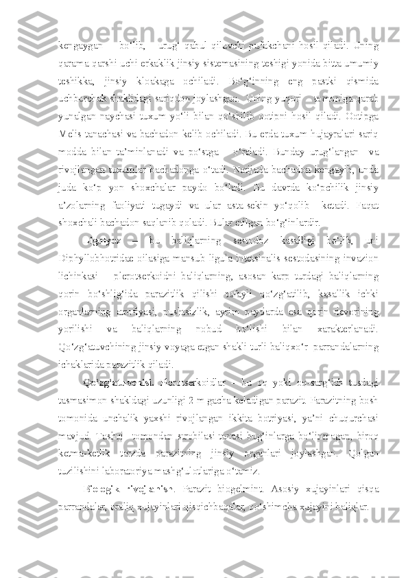 kengaygan         bo‘lib,       urug‘   qabul   qiluvchi   pufakchani   hosil   qiladi.   Uning
qarama-qarshi uchi erkaklik jinsiy sistemasining teshigi yonida bitta umumiy
teshikka,   jinsiy   kloakaga   ochiladi.   Bo‘g‘inning   eng   pastki   qismida
uchburchak shaklidagi sariqdon joylashgan.  Uning yuqori    tomoniga qarab
yunalgan   naychasi   tuxum   yo‘li   bilan   qo‘shilib   ootipni   hosil   qiladi.   Ootipga
Melis tanachasi va bachadon kelib ochiladi. Bu erda tuxum hujayralari sariq
modda   bilan   ta’minlanadi   va   po‘stga       o‘raladi.   Bunday   urug‘langan     va
rivojlangan   tuxumlar   bachadonga   o‘tadi.   Natijada   bachadon   kengayib,   unda
juda   ko‘p   yon   shoxchalar   paydo   bo‘ladi.   Bu   davrda   ko‘pchilik   jinsiy
a’zolarning   faoliyati   tugaydi   va   ular   asta-sekin   yo‘qolib     ketadi.   Faqat
shoxchali bachadon saqlanib qoladi. Bular etilgan bo‘g‘inlardir.
Ligulyoz   –   bu   baliqlarning   sestodoz   kasalligi   bo‘lib,   uni
Diphyllobhotridae   oilasiga   mansub   ligula   intetsinalis   sestodasining   invazion
lichinkasi   –   plerotserkoidni   baliqlarning,   asosan   karp   turdagi   baliqlarning
qorin   bo‘shlig‘ida   parazitlik   qilishi   tufayli   qo‘zg‘atilib,   kasallik   ichki
organlarning   atrofiyasi,   pushtsizlik,   ayrim   paytlarda   esa   qorin   devorining
yorilishi   va   baliqlarning   nobud   bo‘lishi   bilan   xarakterlanadi.
Qo‘zg‘atuvchining jinsiy voyaga etgan shakli turli baliqxo‘r  parrandalarning
ichaklarida parazitlik qiladi.
Qo‘zg‘atuvchisi.   Plerotserkoidlar   –   bu   oq   yoki   oq-sarg‘ich   tusdagi
tasmasimon shakldagi uzunligi 2 m gacha keladigan parazit. Parazitning bosh
tomonida   unchalik   yaxshi   rivojlangan   ikkita   botriyasi,   ya’ni   chuqurchasi
mavjud.   Tashqi     tomondan   strobilasi-tanasi   bug‘inlarga   bo‘linmagan,   biroq
ketma-ketlik   tarzda   parazitning   jinsiy   organlari   joylashgan.   Qolgan
tuzilishini laboratoriya mashg‘ulotlariga o‘tamiz.
Biologik   rivojlanish .   Parazit   biogelmint.   Asosiy   xujayinlari   qisqa
parrandalar, oraliq xujayinlari qisqichbaqalar, qo‘shimcha xujayini baliqlar. 