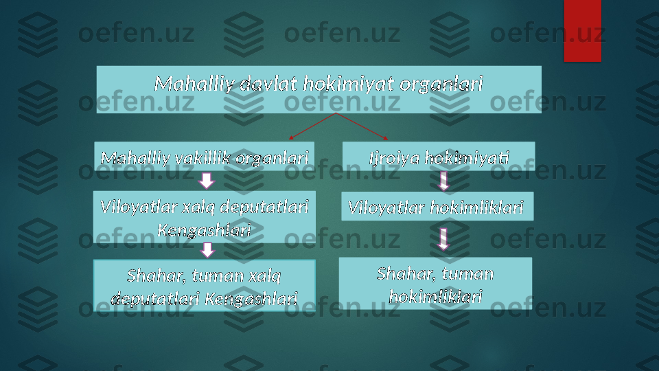 Mahalliy davlat hokimiyat organlari
Mahalliy vakillik organlari
Viloyatlar xalq deputatlari
Kengashlari
Shahar, tuman xalq 
deputatlari Kengashlari Ijroiya hokimiyati
Viloyatlar hokimliklari
Shahar, tuman 
hokimliklari   