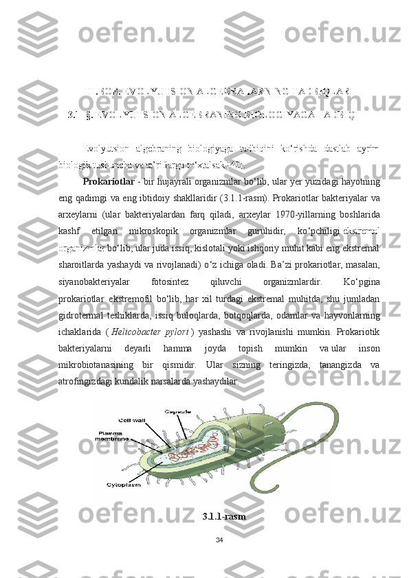 III.BOB. EVOLYUTSION ALGEBRALARNING TADBIQLARI
3.1- §. EVOLYUTSION ALGEBRANING BIOLOGIYAGA TADBIQI 
Evolyutsion   algebraning   biologiyaga   tadbiqini   ko‘rishda   dastlab   ayrim
biologik tushuncha va ta’riflarga to‘xtalsak [40]. 
Prokariotlar  - bir hujayrali organizmlar bo ‘ lib, ular yer yuzidagi hayotning
eng qadimgi va eng ibtidoiy shakllaridir (3.1.1-rasm).   Prokariotlar bakteriyalar va
arxeylarni   (ular   bakteriyalardan   farq   qiladi,   a rxeylar   1970-yillarning   boshlarida
kashf   etilgan   mikroskopik   organizmlar   guruhidir,   ko ‘ pchiligi   ekstremal
organizmlar   bo ‘ lib, ular juda issiq, kislotali yoki ishqoriy muhit kabi eng ekstremal
sharoitlarda yashaydi va rivojlanadi ) o ‘ z ichiga oladi. Ba’zi prokariotlar, masalan,
siyanobakteriyalar   fotosintez   qiluvchi   organizmlardir.   Ko ‘ pgina
prokariotlar     ekstremofil   bo ‘ lib,   har   xil   turdagi   ekstremal   muhitda,   shu   jumladan
gidrotermal   teshiklarda,   issiq   buloqlarda,   botqoqlarda,   odamlar   va   hayvonlarning
ichaklarida   (   Helicobacter   pylori   )   yashashi   va   rivojlanishi   mumkin.   Prokariotik
bakteriyalarni   deyarli   hamma   joyda   topish   mumkin   va   ular   inson
mikrobiotanasining   bir   qismidir.   Ular   sizning   teringizda,   tanangizda   va
atrofingizdagi kundalik narsalarda yashaydilar.
3.1.1-rasm
34 