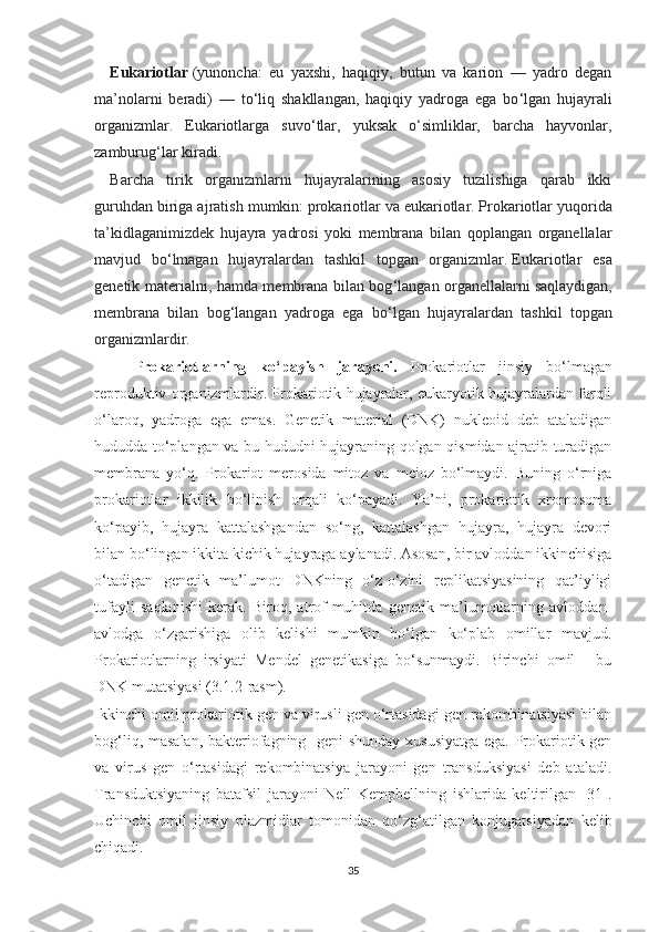 Eukariotlar   (yunoncha:   eu   yaxshi,   haqiqiy,   butun   va   karion   —   yadro   degan
ma’nolarni   beradi)   —   to ‘ liq   shakllangan,   haqiqiy   yadroga   ega   bo ‘ lgan   hujayrali
organizmlar.   Eukariotlarga   suvo ‘ tlar,   yuksak   o‘simliklar,   barcha   hayvonlar,
zamburug‘lar kiradi.
Barcha   tirik   organizmlarni   hujayralarining   asosiy   tuzilishiga   qarab   ikki
guruhdan biriga ajratish mumkin:   prokariotlar   va eukariotlar.   Prokariotlar yuqorida
ta’kidlaganimizdek   hujayra   yadrosi   yoki   membrana   bilan   qoplangan   organellalar
mavjud   bo ‘ lmagan   hujayralardan   tashkil   topgan   organizmlar.   Eukariotlar   esa
genetik materialni , hamda membrana bilan bog ‘ langan organellalarni   saqlaydigan,
membrana   bilan   bog ‘ langan   yadroga   ega   bo ‘ lgan   hujayralardan   tashkil   topgan
organizmlardir. 
Prokariotlarning   ko‘payish   jarayoni.   Prokariotlar   jinsiy   bo ‘ lmagan
reproduktiv organizmlardir. Prokariotik hujayralar, eukaryotik hujayralardan farqli
o‘laroq,   yadroga   ega   emas.   Genetik   material   (DNK)   nukleoid   deb   ataladigan
hududda to‘plangan va bu hududni hujayraning qolgan qismidan ajratib turadigan
membrana   yo‘q.   Prokariot   merosida   mitoz   va   meioz   bo‘lmaydi.   Buning   o‘rniga
prokariotlar   ikkilik   bo‘linish   orqali   ko‘payadi.   Ya’ni,   prokariotik   xromosoma
ko‘payib,   hujayra   kattalashgandan   so‘ng,   kattalashgan   hujayra,   hujayra   devori
bilan bo‘lingan ikkita kichik hujayraga aylanadi.   Asosan, bir avloddan ikkinchisiga
o‘tadigan   genetik   ma’lumot   DNKning   o‘z-o‘zini   replikatsiyasining   qat’iyligi
tufayli   saqlanishi   kerak.   Biroq,   atrof-muhitda   genetik   ma’lumotlarning   avloddan-
avlodga   o‘zgarishiga   olib   kelishi   mumkin   bo‘lgan   ko‘plab   omillar   mavjud.
Prokariotlarning   irsiyati   Mendel   genetikasiga   bo‘sunmaydi.   Birinchi   omil   -   bu
DNK mutatsiyasi (3.1.2-rasm). 
Ikkinchi omil prokariotik gen va virusli gen o‘rtasidagi gen rekombinatsiyasi bilan
bog‘liq, masalan, bakteriofagning   geni  shunday xususiyatga ega. Prokariotik gen
va   virus   gen   o‘rtasidagi   rekombinatsiya   jarayoni   gen   transduksiyasi   deb   ataladi.
Transduktsiyaning   batafsil   jarayoni   Nell   Kempbellning   ishlarida   keltirilgan   [31].
Uchinchi   omil   jinsiy   plazmidlar   tomonidan   qo‘zg‘atilgan   konjugatsiyadan   kelib
chiqadi. 
35 