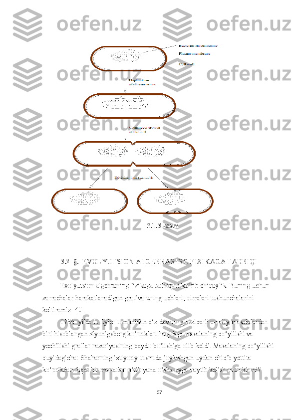 3.1.3-rasm
3.2- §.  EVOLYUTSION ALGEBRANING FIZIKAGA TADBIQI
Evolyutsion algebraning fizikaga tadbiqini ko‘rib chiqaylik. Buning uchun 
zarrachalar harakatlanadigan graf va uning uchlari, qirralari tushunchalarini 
keltiramiz [40]. 
1736- yilda L.Eyler tomonidan o‘z davrning qiziqarli amaliy masalalardan 
biri hisoblangan Kyonigsberg ko‘priklari haqidagi masalaning qo‘yilishi va 
yechilishi graflar nazariyasining   paydo bo‘lishiga olib keldi. Masalaning qo‘yilishi 
quyidagicha: Shaharning ixtiyoriy qismida joylashgan uydan chiqib yettita 
ko‘prikdan faqat bir martadan o‘tib yana o‘sha uyga qaytib kelish mumkinmi?
37 