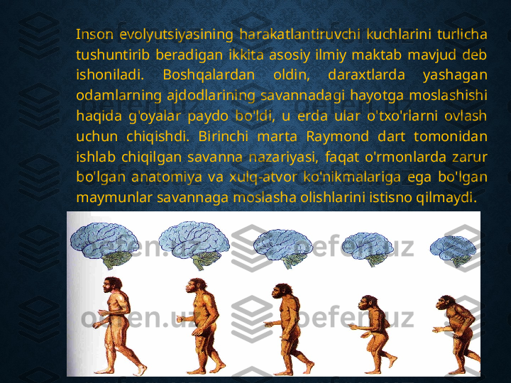 Inson  evolyutsiyasining  harakatlantiruvchi  kuchlarini  turlicha 
tushuntirib  beradigan  ikkita  asosiy  ilmiy  maktab  mavjud  deb 
ishoniladi.  Boshqalardan  oldin,  daraxtlarda  yashagan 
odamlarning  ajdodlarining  savannadagi  hayotga  moslashishi 
haqida  g'oyalar  paydo  bo'ldi,  u  erda  ular  o'txo'rlarni  ovlash 
uchun  chiqishdi.  Birinchi  marta  Raymond  dart  tomonidan 
ishlab  chiqilgan  savanna  nazariyasi,  faqat  o'rmonlarda  zarur 
bo'lgan  anatomiya  va  xulq-atvor  ko'nikmalariga  ega  bo'lgan 
maymunlar savannaga moslasha olishlarini istisno qilmaydi. 