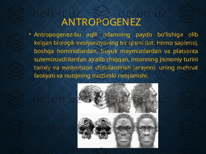 AN TROPOGEN EZ
•
Antropogenez-bu  aqlli  odamning  paydo  bo'lishiga  olib 
kelgan biologik evolyutsiyaning bir qismi (lat. Homo sapiens), 
boshqa  hominidlardan,  buyuk  maymunlardan  va  platsenta 
sutemizuvchilardan ajralib chiqqan, insonning jismoniy turini 
tarixiy  va  evolyutsion  shakllantirish  jarayoni,  uning  mehnat 
faoliyati va nutqining dastlabki rivojlanishi. 