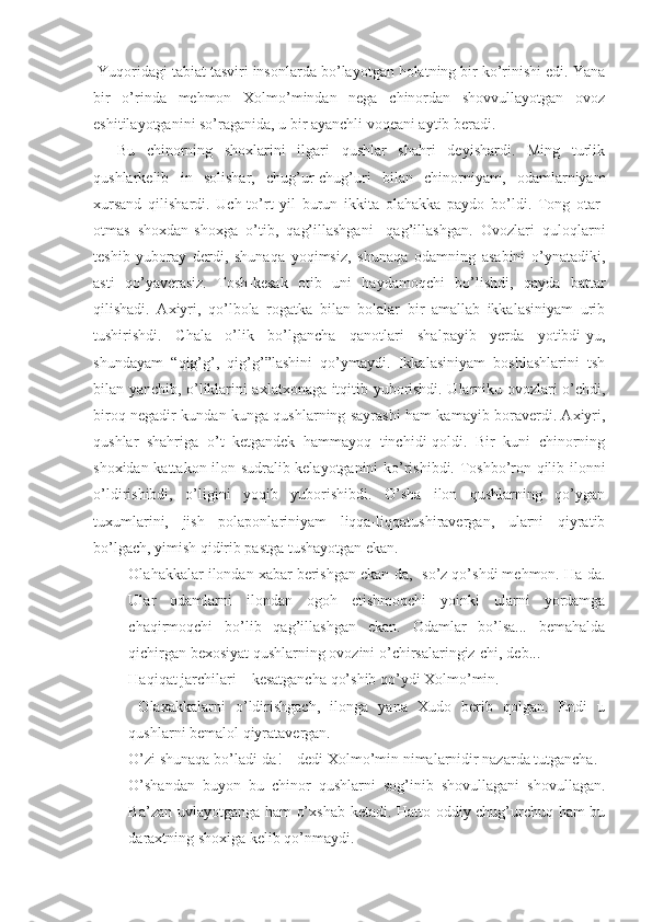  Yuqoridagi tabiat tasviri insonlarda bo’layotgan holatning bir ko’rinishi edi. Yana
bir   o’rinda   mehmon   Xolmo’mindan   nega   chinordan   shovvullayotgan   ovoz
eshitilayotganini so’raganida, u bir ayanchli voqeani aytib beradi.
    Bu   chinorning   shoxlarini   ilgari   qushlar   shahri   deyishardi.   Ming   turlik
qushlarkelib   in   solishar,   chug’ur-chug’uri   bilan   chinorniyam,   odamlarniyam
xursand   qilishardi.   Uch-to’rt   yil   burun   ikkita   olahakka   paydo   bo’ldi.   Tong   otar-
otmas   shoxdan-shoxga   o’tib,   qag’illashgani-   qag’illashgan.   Ovozlari   quloqlarni
teshib   yuboray   derdi,   shunaqa   yoqimsiz,   shunaqa   odamning   asabini   o’ynatadiki,
asti   qo’yaverasiz.   Tosh-kesak   otib   uni   hayda moqchi   bo’lishdi,   qayda   battar
qilishadi.   Axiyri,   qo’lbola   rogatka   bilan   bolalar   bir   amallab   ikkalasiniyam   urib
tushirishdi.   Chala   o’lik   bo’lgancha   qanotlari   shalpayib   yerda   yotibdi-yu,
shundayam   “ qig’g’,   qig’g’”lashini   qo’ymaydi.   Ikkalasiniyam   boshlashlarini   tsh
bilan yanchib, o’liklarini axlatxonaga itqitib yuborishdi. Ularniku ovozlari o’chdi,
biroq negadir kundan kunga qushlarning sayrashi ham kamayib boraverdi. Axiyri,
qushlar   shahriga   o’t   ketgandek   hammayoq   tinchidi-qoldi.   Bir   kuni   chinorning
shoxidan kattakon ilon sudralib kelayotganini ko’rishibdi. Toshbo’ron qilib ilonni
o’ldirishibdi,   o’ligini   yoqib   yuborishibdi.   O’sha   ilon   qushlarning   qo’ygan
tuxumlarini,   jish   polaponlariniyam   liqqa-liqqatushiravergan,   ularni   qiyratib
bo’lgach, yimish qidirib pastga tushayotgan ekan.
- Olahakkalar ilondan xabar berishgan ekan-da,- so’z qo’shdi mehmon. Ha-da.
Ular   odamlarni   ilondan   ogoh   etishmoqchi   yoinki   ularni   yordamga
chaqirmoqchi   bo’lib   qag’illashgan   ekan.   Odamlar   bo’lsa...   bemahalda
qichirgan bexosiyat qushlarning ovozini o’chirsalaringiz-chi, deb...
- Haqiqat jarchilari – kesatgancha qo’shib qo’ydi Xolmo’min.
-   Olaxakkalarni   o’ldirishgach,   ilonga   yana   Xudo   berib   qolgan.   Endi   u
qushlarni bemalol qiyratavergan.
- O’zi shunaqa bo’ladi-da! – dedi Xolmo’min nimalarnidir nazarda tutgancha.
- O’shandan   buyon   bu   chinor   qushlarni   sog’inib   shovullagani   shovullagan.
Ba’zan uvlayotganga ham o’xshab ketadi. Hatto oddiy chug’urchuq ham bu
daraxtning shoxiga kelib qo’nmaydi. 