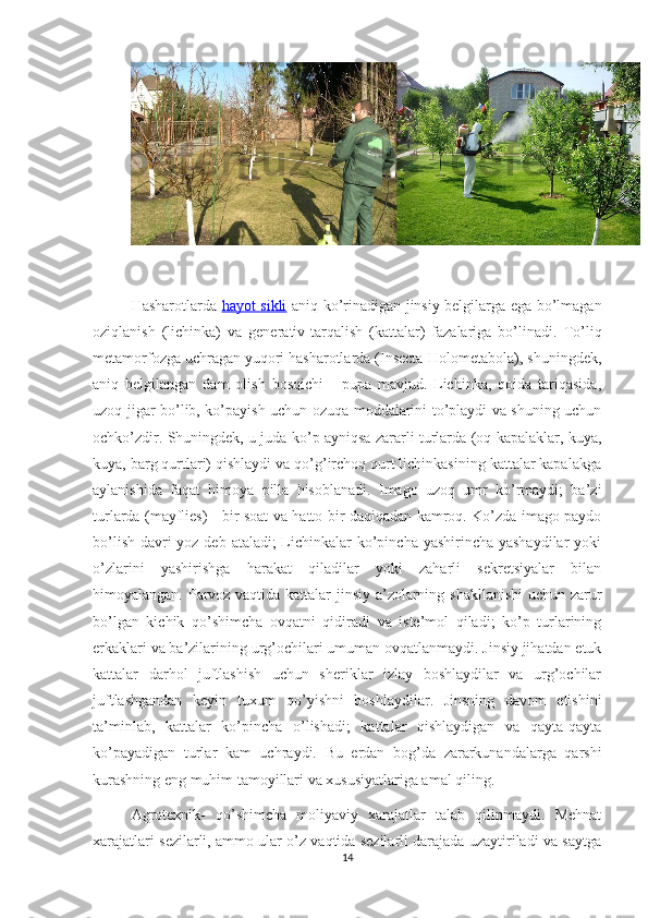 Hasharotlarda   hayot sikli   aniq ko’rinadigan jinsiy belgilarga ega bo’lmagan
oziqlanish   (lichinka)   va   generativ-tarqalish   (kattalar)   fazalariga   bo’linadi.   To’liq
metamorfozga uchragan yuqori hasharotlarda (Insecta-Holometabola), shuningdek,
aniq   belgilangan   dam   olish   bosqichi   -   pupa   mavjud.   Lichinka,   qoida   tariqasida,
uzoq jigar bo’lib, ko’payish uchun ozuqa moddalarini to’playdi va shuning uchun
ochko’zdir. Shuningdek, u juda ko’p ayniqsa zararli turlarda (oq kapalaklar, kuya,
kuya, barg qurtlari) qishlaydi va qo’g’irchoq qurt lichinkasining kattalar kapalakga
aylanishida   faqat   himoya   pilla   hisoblanadi.   Imago   uzoq   umr   ko’rmaydi;   ba’zi
turlarda (mayflies) - bir soat va hatto bir daqiqadan kamroq. Ko’zda imago paydo
bo’lish davri yoz deb ataladi; Lichinkalar ko’pincha yashirincha yashaydilar  yoki
o’zlarini   yashirishga   harakat   qiladilar   yoki   zaharli   sekretsiyalar   bilan
himoyalangan. Parvoz vaqtida kattalar jinsiy a’zolarning shakllanishi  uchun zarur
bo’lgan   kichik   qo’shimcha   ovqatni   qidiradi   va   iste’mol   qiladi;   ko’p   turlarining
erkaklari va ba’zilarining urg’ochilari umuman ovqatlanmaydi. Jinsiy jihatdan etuk
kattalar   darhol   juftlashish   uchun   sheriklar   izlay   boshlaydilar   va   urg’ochilar
juftlashgandan   keyin   tuxum   qo’yishni   boshlaydilar.   Jinsning   davom   etishini
ta’minlab,   kattalar   ko’pincha   o’lishadi;   kattalar   qishlaydigan   va   qayta-qayta
ko’payadigan   turlar   kam   uchraydi.   Bu   erdan   bog’da   zararkunandalarga   qarshi
kurashning eng muhim tamoyillari va xususiyatlariga amal qiling. 
Agrotexnik-   qo’shimcha   moliyaviy   xarajatlar   talab   qilinmaydi.   Mehnat
xarajatlari sezilarli, ammo ular o’z vaqtida sezilarli darajada uzaytiriladi va saytga
14 