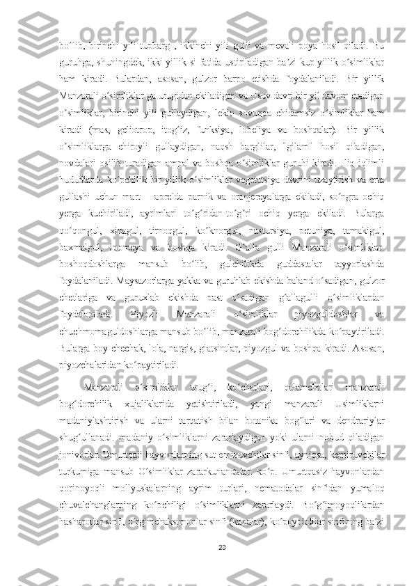 bo lib,   birinchi   yili   tupbarg   ,   ikkinchi   yili   gulli   va   mevali   poya   hosil   qiladi.   Buʻ
guruhga, shuningdek, ikki yillik si-fatida ustiriladigan ba zi kup yillik o simliklar	
ʼ ʻ
ham   kiradi.   Bulardan,   asosan,   gulzor   barpo   etishda   foydalaniladi.   Bir   yillik
Manzarali o simliklar ga urugidan ekiladigan va Usuv davri bir yil davom etadigan	
ʻ
o simliklar,   birinchi   yili   gullaydigan,   lekin   sovuqqa   chidamsiz   o simliklar   ham	
ʻ ʻ
kiradi   (mas,   geliotrop,   itog iz,   funksiya,   lobeliya   va   boshqalar).   Bir   yillik	
ʻ
o simliklarga   chiroyli   gullaydigan,   naqsh   barglilar,   "gilam"   hosil   qiladigan,	
ʻ
novdalari   osilib   turadigan   ampal   va   boshqa   o simliklar   guruhi   kiradi.   Iliq   iqlimli	
ʻ
hududlarda   ko pchilik   bir   yillik   o simliklar   vegetatsiya   davrini   uzaytirish   va   erta	
ʻ ʻ
gullashi   uchun   mart—   aprelda   parnik   va   oranjereyalarga   ekiladi,   so ngra   ochiq	
ʻ
yerga   kuchiriladi,   ayrimlari   to g ridan-to g ri   ochiq   yerga   ekiladi.   Bularga	
ʻ ʻ ʻ ʻ
qo qongul,   xinagul,   tirnoqgul,   ko knorgul,   nastursiya,   petuniya,   tamakigul,	
ʻ ʻ
baxmalgul,   ipomeya   va   boshqa   kiradi.   G alla   gulli   Manzarali   o simliklar.	
ʻ ʻ
boshoqdoshlarga   mansub   bo lib,   gulchilikda   guddastalar   tayyorlashda	
ʻ
foydalaniladi. Maysazorlarga yakka va guruhlab ekishda baland o sadigan, gulzor	
ʻ
chetlariga   va   guruxlab   ekishda   past   o sadigan   g allagulli   o simliklardan	
ʻ ʻ ʻ
foydalaniladi.   Piyozli   Manzarali   o simliklar   piyozguldoshlar   va
ʻ
chuchmomaguldoshlarga mansub bo lib, manzarali bog dorchilikda ko paytiriladi.	
ʻ ʻ ʻ
Bularga boy-chechak, lola, nargis, giatsintlar, piyozgul va boshqa kiradi. Asosan,
piyozchalaridan ko paytiriladi.	
ʻ
Manzarali   o simliklar   urug i,   ko chatlari,   qalamchalari   manzarali
ʻ ʻ ʻ
bog dorchilik   xujaliklarida   yetishtiriladi,   yangi   manzarali   Usimliklarni	
ʻ
madaniylashtirish   va   ularni   tarqatish   bilan   botanika   bog lari   va   dendrariylar	
ʻ
shug ullanadi.   madaniy   o simliklarni   zararlaydigan   yoki   ularni   nobud   qiladigan	
ʻ ʻ
jonivorlar. Umurtqali hayvonlarning sut emizuvchilar sinfi, ayniqsa, kemiruvchilar
turkumiga   mansub   O simliklar   zararkunandalari   ko p.   Umurtqasiz   hayvonlardan	
ʻ ʻ
qorinoyoqli   mollyuskalarning   ayrim   turlari,   nematodalar   sinfidan   yumaloq
chuvalchanglarning   ko pchiligi   o simliklarni   zararlaydi.   Bo g imoyoqlilardan	
ʻ ʻ ʻ ʻ
hasharotlar sinfi, o rgimchaksimonlar sinfi (kanalar), ko poyokdilar sinfining ba zi	
ʻ ʻ ʼ
23 