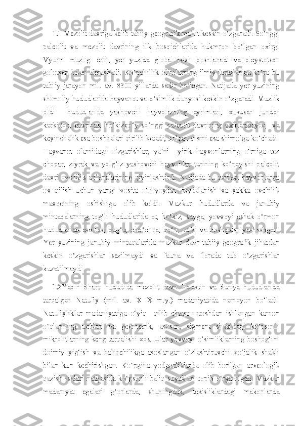 1.1  Mezolit davriga kelib tabiiy-geografik muhit keskin o‘zgaradi. So‘nggi
paleolit   va   mezolit   davrining   ilk   bosqichlarida   hukmron   bo‘lgan   oxirgi
Vyurm   muzligi   erib,   yer   yuzida   global   isish   boshlanadi   va   pleystotsen
golotsen bilan almashadi. Ko‘pchillik olimlarning ilmiy farazlariga ko‘ra bu
tabiiy   jarayon   mil.   av.   8300   yillarda   sodir   bo‘lagan.   Natijada   yer   yuzining
shimoliy hududlarida hayvanot va o‘simlik dunyosi keskin o‘zgaradi. Muzlik
oldi     hududlarida   yashovchi   hayvolarning   ayrimlari,   xususan   jundor
karkidon,   mamont,   ho‘kizqo‘y   so‘nggi   paleolit   davrining   oxirlaridayoq     va
keyinchalik esa boshqalari qirilib ketadi, qolgan qismi esa shimolga ko‘chadi.
Hayvanot   olamidagi   o‘zgarishlar,   ya’ni     yirik   hayvonlarning   o‘rniga   tez
chopar,   ziyrak   va   yolg‘iz   yashovchi   hayvonlar   turining   ko‘payishi   paleolit
davri ovchilik an’analarining qiyinlashtirdi. Natijada bu turdagi hayvonlarga
ov   qilish   uchun   yangi   vosita   o‘q-yoydan   foydalanish   va   yakka   ovchilik
mavqeining   oshishiga   olib   keldi.   Mazkur   hududlarda   va   janubiy
mintaqalarning   tog‘li   hududlarida   ot,   ho‘kiz,   sayga,   yovvoyi   eshak   o‘rmon
hududlarida   esa   los,   bug‘u,   cho‘chqa,   bo‘ri,   tulki   va   boshqalar   yashashgan.
Yer   yuzining   janubiy   mintaqalarida   mazkur   davr   tabiiy-geografik   jihatdan
keskin   o‘zgarishlar   sezilmaydi   va   fauna   va   florada   tub   o‘zgarishlar
kuzatilmaydi. 
1.2 Yaqin   Sharq   hududida   mezolit   davri   Falastin   va   Suriya   hududlarida
tarqalgan   Natufiy   (mil.   av.   X-IX   m.y.)   madaniyatida   namoyon   bo‘ladi.
Natufiyliklar   madaniyatiga   o‘yiq     qilib   chaqmoqtoshdan   ishlangan   kamon
o‘qlarining   uchlari   va   geometrik,   asosan,   sigment   shakldagi   ko‘psonli
mikrolitlarning keng tarqalishi xos. Ular yovvoyi o‘simliklarning boshog‘ini
doimiy   yig‘ish   va   baliqchilikga   asoslangan   o‘zlashtiruvchi   xo‘jalik   shakli
bilan   kun   kechirishgan.   Ko‘pgina   yodgorliklarda   olib   borilgan   arxeologik
qazish  ishlari  natijasida  ko‘psonli  baliq  suyaklari  topib  o‘rganilgan.  Mazkur
madaniyat   egalari   g‘orlarda,   shuningdek,   tekisliklardagi   makonlarda 