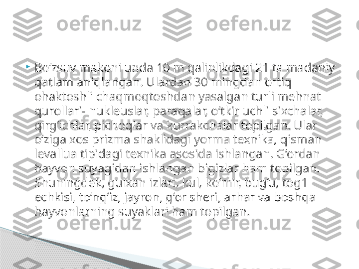 
Bo’zsuv makoni unda 10 m qalinlikdagi 21 ta madaniy 
qatlam aniqlangan. Ulardan 30 mingdan ortiq 
ohaktoshli chaqmoqtoshdan yasalgan turli mehnat 
qurollari- nukleuslar, paraqalar, o‘tkir uchli sixchalar, 
qirg‘ichlar, pichoqlar va kurrakchalar topilgan. Ular 
o‘ziga xos prizma shaklidagi yorma texnika, qisman 
levallua tipidagi texnika asosida ishlangan. G‘ordan 
hayvon suyagidan ishlangan bigizlar ham topilgan. 
Shuningdek, gulxan izlari, kul, ko‘mir, bug‘u, tog1 
echkisi, to‘ng‘iz, jayron, g‘or sheri, arhar va boshqa 
hayvonlarning suyaklari ham topilgan.      