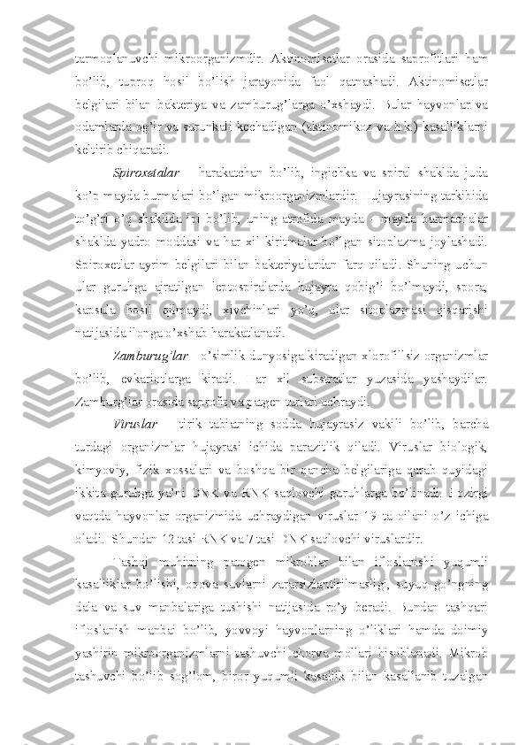 tarmoqlanuvchi   mikroorganizmdir.   Aktinomisetlar   orasida   saprofitlari   ham
bo’lib,   tuproq   hosil   bo’lish   jarayonida   faol   qatnashadi.   Aktinomisetlar
belgilari   bilan   bakteriya   va   zamburug’larga   o’xshaydi.   Bular   hayvonlar   va
odamlarda og’ir va surunkali kechadigan (aktinomikoz va h.k.) kasalliklarni
keltirib chiqaradi. 
Spiroxetalar   –   harakatchan   bo’lib,   ingichka   va   spiral   shaklda   juda
ko’p mayda burmalari bo’lgan mikroorganizmlardir. Hujayrasining tarkibida
to’g’ri   o’q   shaklida   ipi   bo’lib,   uning   atrofida   mayda   –   mayda   burmachalar
shaklda   yadro   moddasi   va   har   xil   kiritmalar   bo’lgan   sitoplazma   joylashadi.
Spiroxetlar   ayrim   belgilari   bilan   bakteriyalardan   farq   qiladi.   Shuning   uchun
ular   guruhga   ajratilgan   leptospiralarda   hujayra   qobig’i   bo’lmaydi,   spora,
kapsula   hosil   qilmaydi,   xivchinlari   yo’q,   ular   sitoplazmasi   qisqarishi
natijasida ilonga o’xshab harakatlanadi.
Zamburug’lar   - o’simlik dunyosiga kiradigan xlorofillsiz organizmlar
bo’lib,   evkariotlarga   kiradi.   Har   xil   substratlar   yuzasida   yashaydilar.
Zamburg’lar orasida saprofit va patgen turlari uchraydi. 
Viruslar   –   tirik   tabiatning   sodda   hujayrasiz   vakili   bo’lib,   barcha
turdagi   organizmlar   hujayrasi   ichida   parazitlik   qiladi.   Viruslar   biologik,
kimyoviy,   fizik   xossalari   va   boshqa   bir   qancha   belgilariga   qarab   quyidagi
ikkita   guruhga   ya’ni   DNK   va   RNK   saqlovchi   guruhlarga   bo’linadi.   Hozirgi
vaqtda   hayvonlar   organizmida   uchraydigan   viruslar   19   ta   oilani   o’z   ichiga
oladi.  Shundan 12 tasi RNK va 7 tasi DNK saqlovchi viruslardir. 
Tashqi   muhitning   patogen   mikroblar   bilan   ifloslanishi   yuqumli
kasalliklar   bo’lishi,   oqova   suvlarni   zararsizlantirilmasligi,   suyuq   go’ngning
dala   va   suv   manbalariga   tushishi   natijasida   ro’y   beradi.   Bundan   tashqari
ifloslanish   manbai   bo’lib,   yovvoyi   hayvonlarning   o’liklari   hamda   doimiy
yashirin   mikroorganizmlarni   tashuvchi   chorva   mollari   hisoblanadi.   Mikrob
tashuvchi   bo’lib   sog’lom,   biror   yuqumli   kasallik   bilan   kasallanib   tuzalgan 