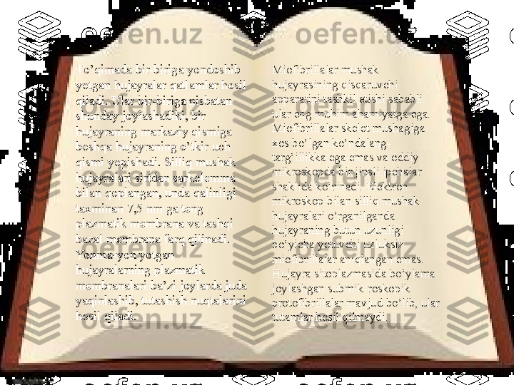 Тo’qimada bir-biriga yondoshib 
yotgan hujayralar qatlamlar hosil 
qiladi. Ular bir-biriga nisbatan 
shunday joylashadiki, bir 
hujayraning markaziy qismiga 
boshqa hujayraning o’tkir uch 
qismi yopishadi. Silliq mushak 
hujayralari sirtdan sarkolemma 
bilan qoplangan, unda qalinligi 
taxminan 7,5 nm ga teng 
plazmatik membrana va tashqi 
bazal membrana farq qilinadi. 
Yonma-yon yotgan 
hujayralarning plazmatik 
membranalari ba’zi joylarda juda 
yaqinlashib, tutashish nuqtalarini 
hosil qiladi.  Miofibrillalar mushak 
hujayrasining qisqaruvchi 
apparatini tashkil etishi sababli 
ular eng muhim ahamiyatga ega. 
Miofibrillalar skelet mushagiga 
xos bo’lgan ko’ndalang-
targ’illikka ega emas va oddiy 
mikroskopda bir jinsli ipchalar 
shaklida ko’rinadi. Elektron 
mikroskop bilan silliq mushak 
hujayralari o’rganilganda 
hujayraning butun uzunligi 
bo’yicha yotuvchi uzluksiz 
miofibrillalar aniqlangan emas. 
Hujayra sitoplazmasida bo’ylama 
joylashgan submik-roskopik 
protofibrillalar mavjud bo’lib, ular 
tutamlar hosil qilmaydi.  