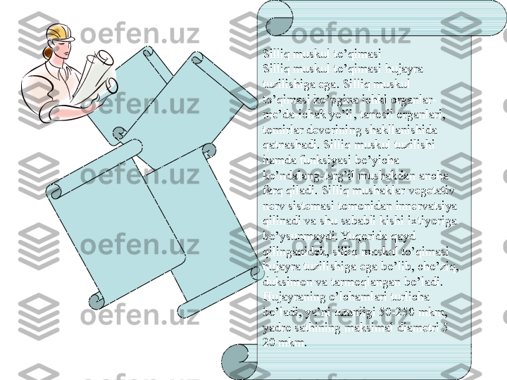 Silliq muskul to’qimasi
Silliq muskul to’qimasi hujayra 
tuzilishiga ega. Silliq muskul 
to’qimasi ko’pgina ichki organlar-
me’da-ichak yo’li, tanosil organlari, 
tomirlar devorining shakllanishida 
qatnashadi. Silliq muskul tuzilishi 
hamda funksiyasi bo’yicha 
ko’ndalang-targ’il mushakdan ancha 
farq qiladi. Silliq mushaklar vegetativ 
nerv sistemasi tomonidan innervatsiya 
qilinadi va shu sababli kishi ixtiyoriga 
bo’ysunmaydi. Yuqorida qayd 
qilinganidek, silliq muskul to’qimasi 
hujayra tuzilishiga ega bo’lib, cho’ziq, 
duksimon va tarmoqlangan bo’ladi. 
Hujayraning o’lchamlari turlicha 
bo’ladi, ya’ni uzunligi 50-250 mkm, 
yadro sathining maksimal diametri 5-
20 mkm.  