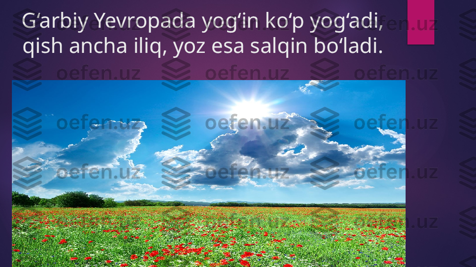 G‘arbiy Yevropada yog‘in ko‘p yog‘adi, 
qish ancha iliq, yoz esa salqin bo‘ladi.   