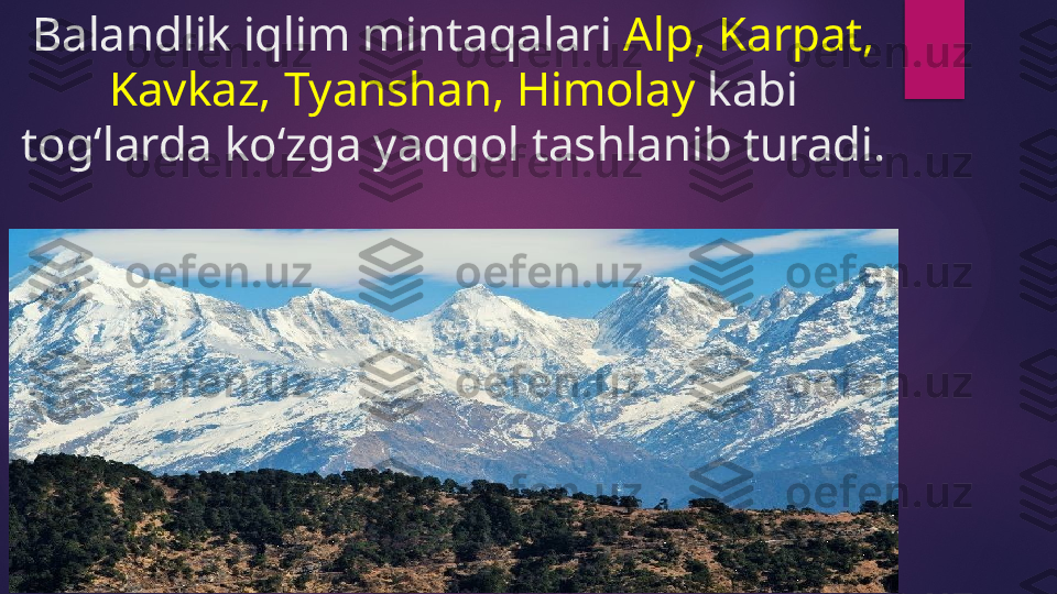 Balandlik iqlim mintaqalari  Alp, Karpat, 
Kavkaz, Tyanshan, Himolay  kabi 
tog‘larda ko‘zga yaqqol tashlanib turadi.   