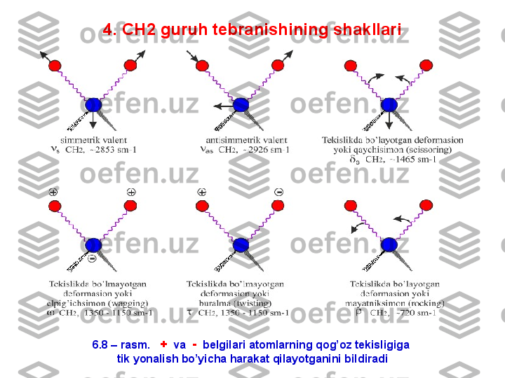 4 . CH2 guruh tebranishining shakllari
6.8 – rasm.    +   va   -   belgilari atomlarning qog’oz tekisligiga 
tik yonalish bo’yicha harakat qilayotganini bildiradi 