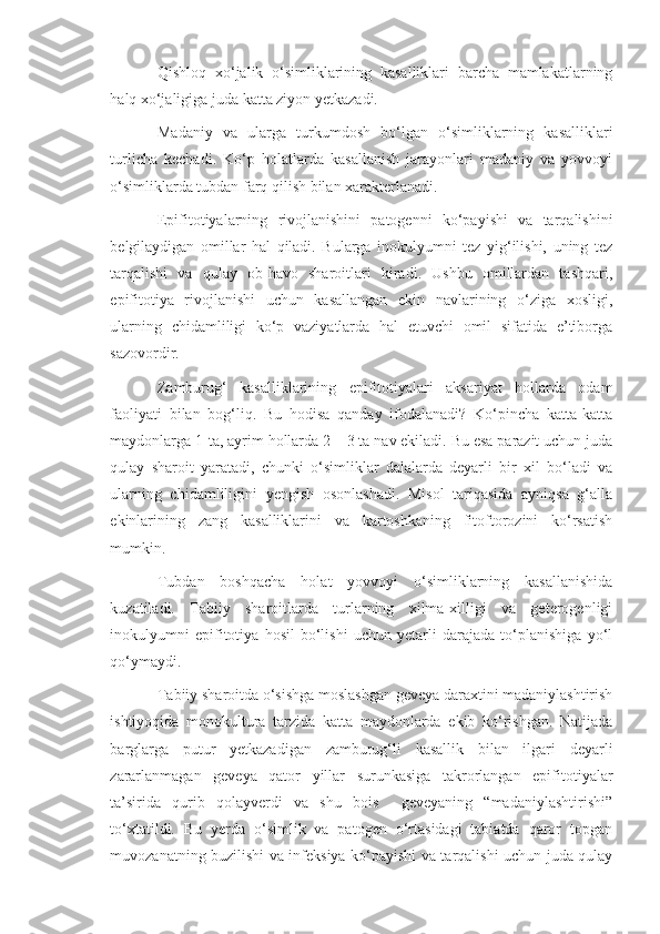 Qishloq   xo‘jalik   o‘simliklarining   kasalliklari   barcha   mamlakatlarning
halq xo‘jaligiga juda katta ziyon yetkazadi.
Madaniy   va   ularga   turkumdosh   bo‘lgan   o‘simliklarning   kasalliklari
turlicha   kechadi.   Ko‘p   holatlarda   kasallanish   jarayonlari   madaniy   va   yovvoyi
o‘simliklarda tubdan farq qilish bilan xarakterlanadi.
Epifitotiyalarning   rivojlanishini   patogenni   ko‘payishi   va   tarqalishini
belgilaydigan   omillar   hal   qiladi.   Bularga   inokulyumni   tez   yig‘ilishi,   uning   tez
tarqalishi   va   qulay   ob-havo   sharoitlari   kiradi.   Ushbu   omillardan   tashqari,
epifitotiya   rivojlanishi   uchun   kasallangan   ekin   navlarining   o‘ziga   xosligi,
ularning   chidamliligi   ko‘p   vaziyatlarda   hal   etuvchi   omil   sifatida   e’tiborga
sazovordir.
Zamburug‘   kasalliklarining   epifitotiyalari   aksariyat   hollarda   odam
faoliyati   bilan   bog‘liq.   Bu   hodisa   qanday   ifodalanadi?   Ko‘pincha   katta-katta
maydonlarga 1-ta, ayrim hollarda 2 – 3 ta nav ekiladi. Bu esa parazit uchun juda
qulay   sharoit   yaratadi,   chunki   o‘simliklar   dalalarda   deyarli   bir   xil   bo‘ladi   va
ularning   chidamliligini   yengish   osonlashadi.   Misol   tariqasida   ayniqsa   g‘alla
ekinlarining   zang   kasalliklarini   va   kartoshkaning   fitoftorozini   ko‘rsatish
mumkin.
Tubdan   boshqacha   holat   yovvoyi   o‘simliklarning   kasallanishida
kuzatiladi.   Tabiiy   sharoitlarda   turlarning   xilma-xilligi   va   geterogenligi
inokulyumni   epifitotiya   hosil   bo‘lishi   uchun   yetarli   darajada   to‘planishiga   yo‘l
qo‘ymaydi.
Tabiiy sharoitda o‘sishga moslashgan geveya daraxtini madaniylashtirish
ishtiyoqida   monokultura   tarzida   katta   maydonlarda   ekib   ko‘rishgan.   Natijada
barglarga   putur   yetkazadigan   zamburug‘li   kasallik   bilan   ilgari   deyarli
zararlanmagan   geveya   qator   yillar   surunkasiga   takrorlangan   epifitotiyalar
ta’sirida   qurib   qolayverdi   va   shu   bois     geveyaning   “madaniylashtirishi”
to‘xtatildi.   Bu   yerda   o‘simlik   va   patogen   o‘rtasidagi   tabiatda   qaror   topgan
muvozanatning buzilishi va infeksiya ko‘payishi va tarqalishi uchun juda qulay 