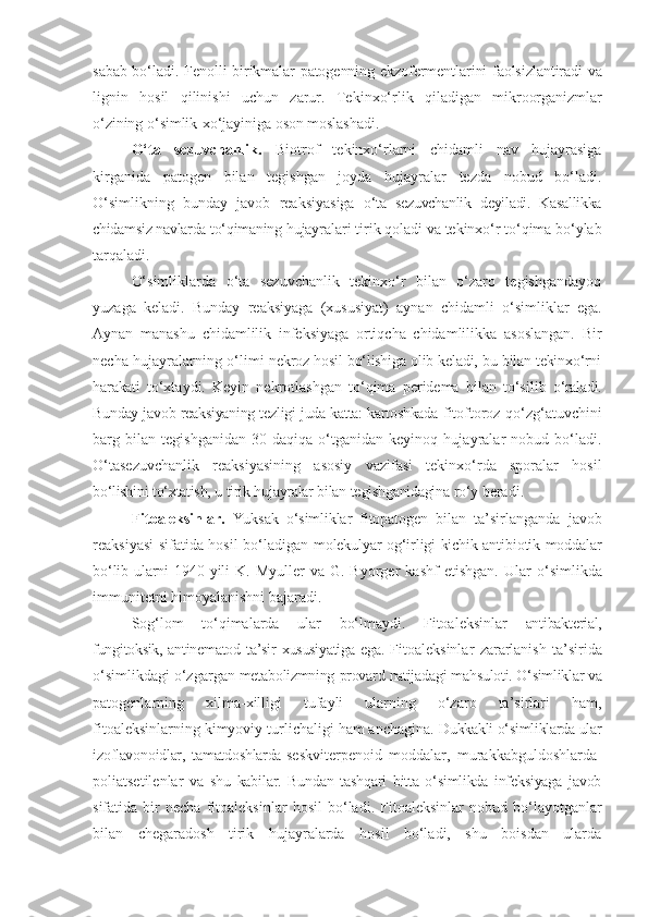 sabab bo‘ladi. Fenolli   birikmalar   patogenning   ekzofermentlarini   faolsizlantiradi   va
lignin   hosil   qilinishi   uchun   zarur.   Tekinxo‘rlik   qiladigan   mikroorganizmlar
o‘zining   o‘simlik-xo‘jayiniga   oson   moslashadi.
O‘ta   sezuvchanlik.   Biotrof   tekinxo‘rlarni   chidamli   nav   hujayrasiga
kirganida   patogen   bilan   tegishgan   joyda   hujayralar   tezda   nobud   bo‘ladi.
O‘simlikning   bunday   javob   reaksiyasiga   o‘ta   sezuvchanlik   deyiladi.   Kasallikka
chidamsiz navlarda to‘qimaning  hujayralari tirik qoladi va tekinxo‘r to‘qima bo‘ylab
tarqaladi.
O‘simliklarda   o‘ta   sezuvchanlik   tekinxo‘r   bilan   o‘zaro   tegishgandayoq
yuzaga   keladi.   Bunday   reaksiyaga   (xususiyat)   aynan   chidamli   o‘simliklar   ega.
Aynan   manashu   chidamlilik   infeksiyaga   ortiqcha   chidamlilikka   asoslangan.   Bir
necha hujayralarning o‘limi   nekroz hosil bo‘lishiga olib keladi, bu bilan tekinxo‘rni
harakati   to‘xtaydi.   Keyin   nekrotlashgan   to‘qima   peridema   bilan   to‘silib   o‘raladi.
Bunday javob reaksiyaning tezligi juda katta: kartoshkada   fitoftoroz qo‘zg‘atuvchini
barg   bilan   tegishganidan   30   daqiqa   o‘tganidan   keyinoq   hujayralar   nobud   bo‘ladi.
O‘tasezuvchanlik   reaksiyasining   asosiy   vazifasi   tekinxo‘rda   sporalar   hosil
bo‘lishini   to‘xtatish, u   tirik   hujayralar   bilan   tegishganidagina   ro‘y   beradi.
Fitoaleksinlar.   Yuksak   o‘simliklar   fitopatogen   bilan   ta’sirlanganda   javob
reaksiyasi sifatida hosil bo‘ladigan   molekulyar og‘irligi kichik antibiotik moddalar
bo‘lib ularni 1940   yili   K.  Myuller   va  G.  Byorger   kashf   etishgan.   Ular   o‘simlikda
immunitetni   himoyalanishni   bajaradi.
Sog‘lom   to‘qimalarda   ular   bo‘lmaydi.   Fitoaleksinlar   antibakterial,
fungitoksik, antinematod   ta’sir   xususiyatiga   ega.   Fitoaleksinlar   zararlanish   ta’sirida
o‘simlikdagi   o‘zgargan   metabolizmning   provard   natijadagi   mahsuloti. O‘simliklar va
patogenlarning   xilma-xilligi   tufayli   ularning   o‘zaro   ta’sirlari   ham,
fitoaleksinlarning kimyoviy turlichaligi ham anchagina.  Dukkakli o‘simliklarda ular
izoflavonoidlar,   tamatdoshlarda- seskviterpenoid   moddalar,   murakkabguldoshlarda-
poliatsetilenlar   va   shu   kabilar.   Bundan   tashqari   bitta   o‘simlikda   infeksiyaga   javob
sifatida  bir   necha   fitoaleksinlar   hosil   bo‘ladi.   Fitoaleksinlar   nobud   bo‘layotganlar
bilan   chegaradosh   tirik   hujayralarda   hosil   bo‘ladi,   shu   boisdan   ularda 