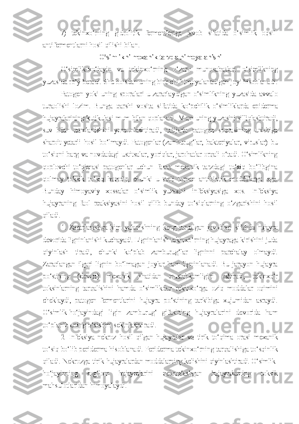 7)   tekinxo‘rning   gidrolitik   fermentlariga   javob   sifatida   o‘simlik   oqsil-
antifermentlarni   hosil   qilishi   bilan.
O‘simlikni mexanik tarzda himoyalanishi
O‘simlik-xo‘jayin   va   tekinxo‘rning   o‘zaro   munosabatlari   o‘simlikning
yuzasida ro‘y beradi. Shu boisdan uning birinchi  himoyalanadigan joyi hisoblanadi.
Patogen  yoki   uning   sporalari   u   zararlaydigan   o‘simlikning   yuzasida   avvalo
turaolishi   lozim.   Bunga   qarshi   vosita   sifatida   ko‘pchilik   o‘simliklarda   epiderma
hujayralarining kutikulasi mum   bilan qoplanadi. Mum uning yuzasini silliqlashtiradi,
suv   bilan   namlanishini   yomonlashtiradi,   natijada   patogen   sporasining   unishiga
sharoit  yetarli   hosil   bo‘lmaydi. Patogenlar  (zamburug‘lar,   bakteriyalar,   viruslar)   bu
to‘siqni   barg   va   novdadagi   ustitsalar,   yoriqlar, jarohatlar orqali o‘tadi. O‘simlikning
qoplovchi   to‘qimasi   patogenlar   uchun   faqat   mexanik   tarzdagi   to‘siq   bo‘libgina
qolmay   toksik   to‘siq   hamdir,   chunki   u   turli   tuman   antibiotik   moddalarga   ega.
Bunday   himoyaviy   xossalar   o‘simlik   yuzasini   infeksiyasiga   xos.   Infeksiya
hujayraning   faol   reaksiyasini   hosil   qilib   bunday   to‘siqlarning   o‘zgarishini   hosil
qiladi.
1.   Zararlanishga   himoyalanishning   keng   tarqalgan   javoblari   sifatida   hujayra
devorida ligninlanishi kuchayadi. Ligninlanish  tekinxo‘rning hujayraga kirishini juda
qiyinlash   tiradi,   chunki   ko‘plab   zamburug‘lar   ligninni   parchalay   olmaydi.
Zararlangan   ilgari   lignin   bo‘lmagan   joylar   ham   ligninlanadi.   Bu   jarayon   hujayra
po‘stining   (devori)   mexanik   jihatidan   mustahkamligini   oshiradi,   tekinxo‘r
toksinlarning   tarqalishini   hamda   o‘simlikdan   tekinxo‘rga   oziq   moddalar   oqimini
cheklaydi,   patogen   fermentlarini   hujayra   po‘stining   tarkibiga   xujumidan   asraydi.
O‘simlik-ho‘jayindagi   ligin   zamburug‘   gifasining   hujayralarini   devorida   ham
to‘planib uning o‘sishini s e kinlashtiradi.
2.   Infeksiya   nekroz   hosil   qilgan   hujayralar   va   tirik   to‘qima   orasi   mexanik
to‘siq bo‘lib periderma hisoblanadi. Periderma  tekinxo‘rning tarqalishiga to‘sqinlik
qiladi. Nekrozga tirik   hujayralardan moddalarning kelishini qiyinlashtiradi. O‘simlik-
ho‘jayinning   sog‘lom   hujayralarini   nekrozlashgan   hujayralarning   toksik
mahsulotlaridan himoyalaydi. 