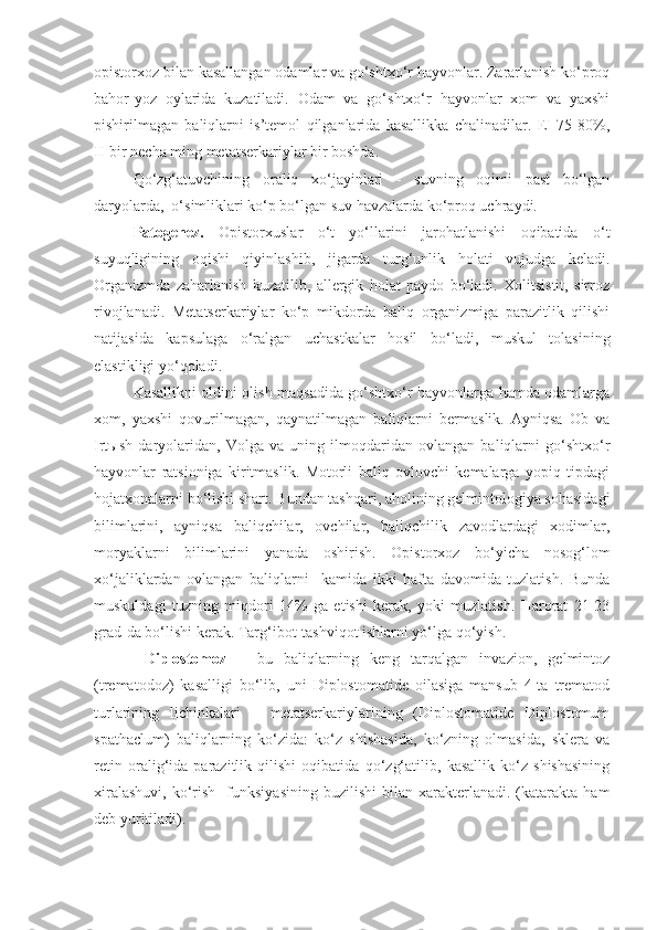 opistorxoz bilan kasallangan odamlar va go‘shtxo‘r hayvonlar. Zararlanish ko‘proq
bahor-yoz   oylarida   kuzatiladi.   Odam   va   go‘shtxo‘r   hayvonlar   xom   va   yaxshi
pishirilmagan   baliqlarni   is’temol   qilganlarida   kasallikka   chalinadilar.   EI-75-80%,
II-bir necha ming metatserkariylar bir boshda.
Qo‘zg‘atuvchining   oraliq   xo‘jayinlari   -   suvning   oqimi   past   bo‘lgan
daryolarda,  o‘simliklari ko‘p bo‘lgan suv havzalarda ko‘proq uchraydi.
Patogenez.   Opistorxuslar   o‘t   yo‘llarini   jarohatlanishi   oqibatida   o‘t
suyuqligining   oqishi   qiyinlashib,   jigarda   turg‘unlik   holati   vujudga   keladi.
Organizmda   zaharlanish   kuzatilib,   allergik   holat   paydo   bo‘ladi.   Xolitsistit,   sirroz
rivojlanadi.   Metatserkariylar   ko‘p   mikdorda   baliq   organizmiga   parazitlik   qilishi
natijasida   kapsulaga   o‘ralgan   uchastkalar   hosil   bo‘ladi,   muskul   tolasining
elastikligi yo‘qoladi.
Kasallikni oldini olish maqsadida go‘shtxo‘r hayvonlarga hamda odamlarga
xom,   yaxshi   qovurilmagan,   qaynatilmagan   baliqlarni   bermaslik.   Ayniqsa   Ob   va
Irtыsh   daryolaridan,   Volga   va   uning   ilmoqdaridan   ovlangan   baliqlarni   go‘shtxo‘r
hayvonlar   ratsioniga   kiritmaslik.   Motorli   baliq   ovlovchi   kemalarga   yopiq   tipdagi
hojatxonalarni bo‘lishi shart. Bundan tashqari, aholining gelmintologiya sohasidagi
bilimlarini,   ayniqsa   baliqchilar,   ovchilar,   baliqchilik   zavodlardagi   xodimlar,
moryaklarni   bilimlarini   yanada   oshirish.   Opistorxoz   bo‘yicha   nosog‘lom
xo‘jaliklardan   ovlangan   baliqlarni     kamida   ikki   hafta   davomida   tuzlatish.   Bunda
muskuldagi   tuzning   miqdori   14%   ga   etishi   kerak,   yoki   muzlatish.   Harorat   21-23
grad-da bo‘lishi kerak. Targ‘ibot-tashviqot ishlarni yo‘lga qo‘yish.
  Diplostomoz   –   bu   baliqlarning   keng   tarqalgan   invazion,   gelmintoz
(trematodoz)   kasalligi   bo‘lib,   uni   Diplostomatide   oilasiga   mansub   4-ta   trematod
turlarining   lichinkalari   –   metatserkariylarining   (Diplostomatide   Diplostomum
spathaclum)   baliqlarning   ko‘zida:   ko‘z   shishasida,   ko‘zning   olmasida,   sklera   va
retin   oralig‘ida   parazitlik   qilishi   oqibatida   qo‘zg‘atilib,   kasallik   ko‘z   shishasining
xiralashuvi,   ko‘rish     funksiyasining  buzilishi  bilan  xarakterlanadi.  (katarakta  ham
deb yuritiladi). 