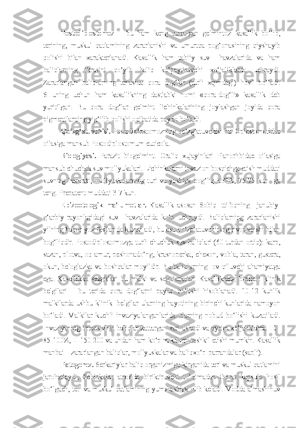 Postodiplostomoz   –   bu   ham   keng   tarqalgan   gelmintoz   kasallik   bo‘lib,
terining,   muskul   qatlamining   zararlanishi   va   umurtqa   pog‘onasining   qiyshayib
qolishi   bilan   xarakterlanadi.   Kasallik   ham   tabiiy   suv     havzalarida   va   ham
baliqlarning   ikrasini   qo‘yib   baliq   ko‘paytiruvchi   xo‘jaliklarda   uchraydi.
Zararlangan   baliqlarning   tanasida   qora   dog‘lar   (turli   xajmdagi)   hosil   bo‘ladi.
SHuning   uchun   ham   kasallikning   dastlabki   nomi   «qora-dog‘li»   kasallik   deb
yuritilgan.   Bu   qora   dog‘lar   gelmint   lichinkalarining   joylashgan   joyida   qora
pigmentlarning yig‘ilib qolishi oqibatida paydo bo‘ladi.
Qo‘zg‘atuvchisi.  Postodiplostomozning qo‘zg‘atuvchisi bu Diplostomotidae
oilasiga mansub Postodiplostomum cuticola. 
Biologiyasi.   Parazit   biogelmint.   Oraliq   xujayinlari   Planorhbidae   oilasiga
mansub chuchuk suv mollyukalari. Lichinkalarni invazion bosqichga etish muddati
suvning   harorati,   mollyuskalarning   turi   va   yoshiga   bog‘liq   bo‘lib,   75-95   kun     ga
teng. Prepatent muddati 3-7 kun. 
Epizootologik   ma’lumotlar.   Kasallik   asosan   Sobiq   Ittifoqning     janubiy-
g‘arbiy   rayonlaridagi   suv     havzalarida   ko‘p   uchraydi.   Baliqlarning   zararlanishi
yilning bahor-yoz fasllarida kuzatiladi, bu esa qo‘zg‘atuvchining rivojlanishi bilan
bog‘liqdir. Postodiplostomozga turli chuchuk suv baliqlari (60 turdan ortiq): karp,
sazan, plotva, oq amur, peshonado‘ng, krasnoperka, chexon, vobla, taran, gustera,
okun, beloglazka va boshqalar moyildir. Bu baliqlarning   ov qiluvchi ahamiyatga
e ga.   Kasallikka   sezgirlari   bu   malki   va   segoletkalar.   Kasallikning   birinchi   klinik
belgilari   –   bu   terida   qora   dog‘larni   paydo   bo‘lishi   hisoblanadi.   10-12   kunlik
malkilarda ushbu klinik   belgilar  ularning hayotining birinchi kunlarida namoyon
bo‘ladi.   Malkilar   kuchli   invaziyalanganlarida   ularning   nobud   bo‘lishi   kuzatiladi.
Invaziyaning intensivligi baliqlar kattargan sari oshadi va ayrim xo‘jaliklarda IE -
85-100%, II-150-200 va undan ham   ko‘p mikdorni tashkil etishi mumkin. Kasallik
manbai – zararlangan baliqlar, mollyuskalar va  baliqxo‘r   parrandalar (sapli).
Patogenez.  Serkariylar baliq organizmiga kirganida teri va muskul qatlamini
jarohatlaydi,   lichinkalar   atrofida   biriktiruvchi   to‘qimadan   iborat   kapsula   hosil
bo‘lgach, teri va muskul qatlamining yumshashiga olib keladi. Modda almashinuv 