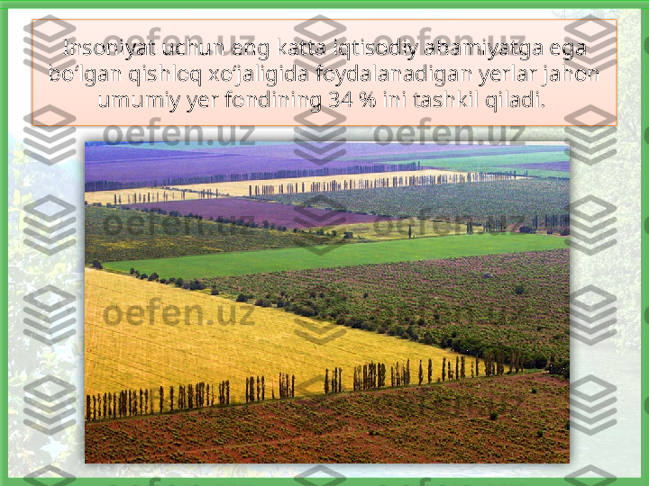 Insoniyat uchun eng katta iqtisodiy ahamiyatga ega 
bo‘lgan qishloq xo‘jaligida foydalanadigan yerlar jahon 
umumiy yer fondining 34 % ini tashkil qiladi.     